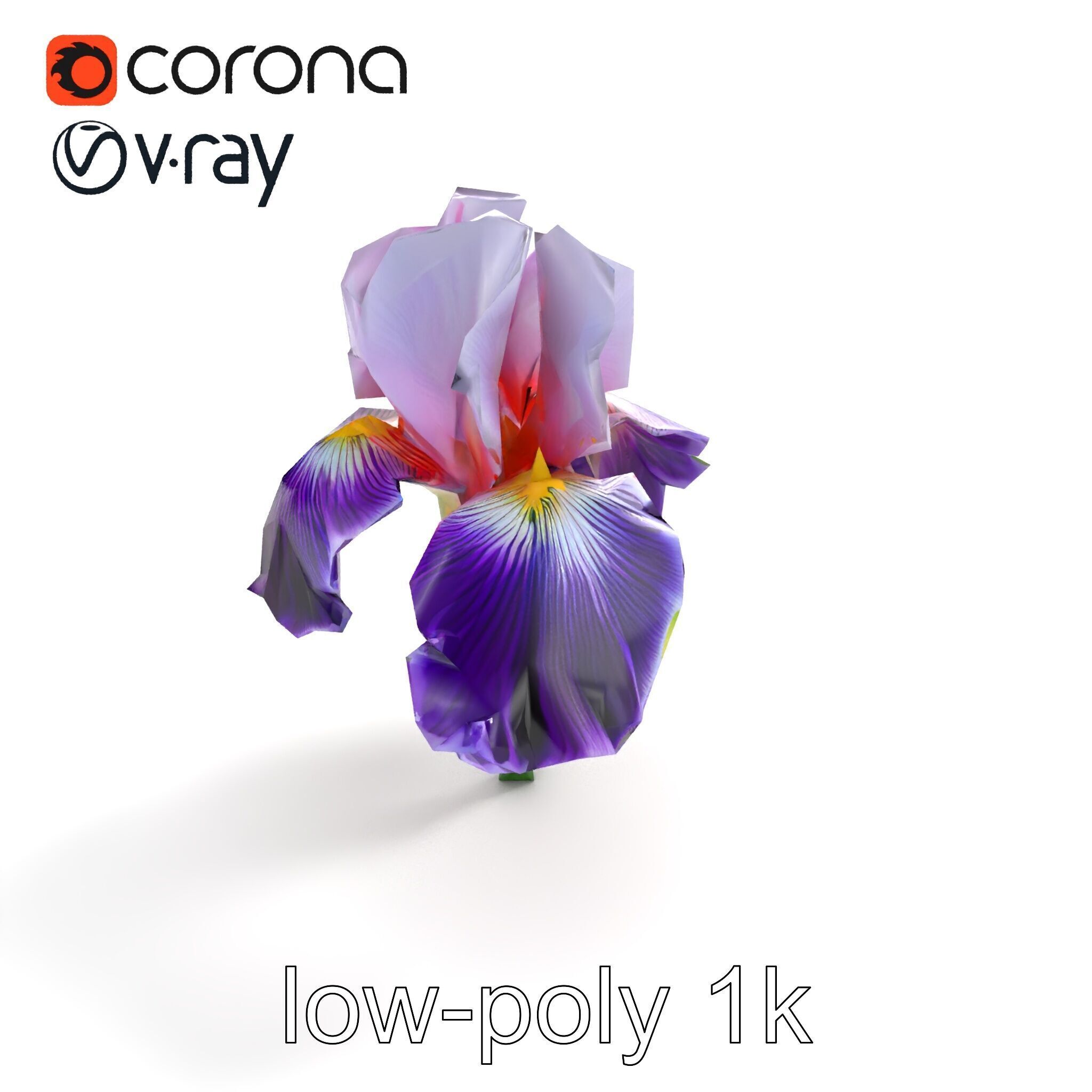 Double Iris Flower Layered Petals model pack Low-poly 3D model_9