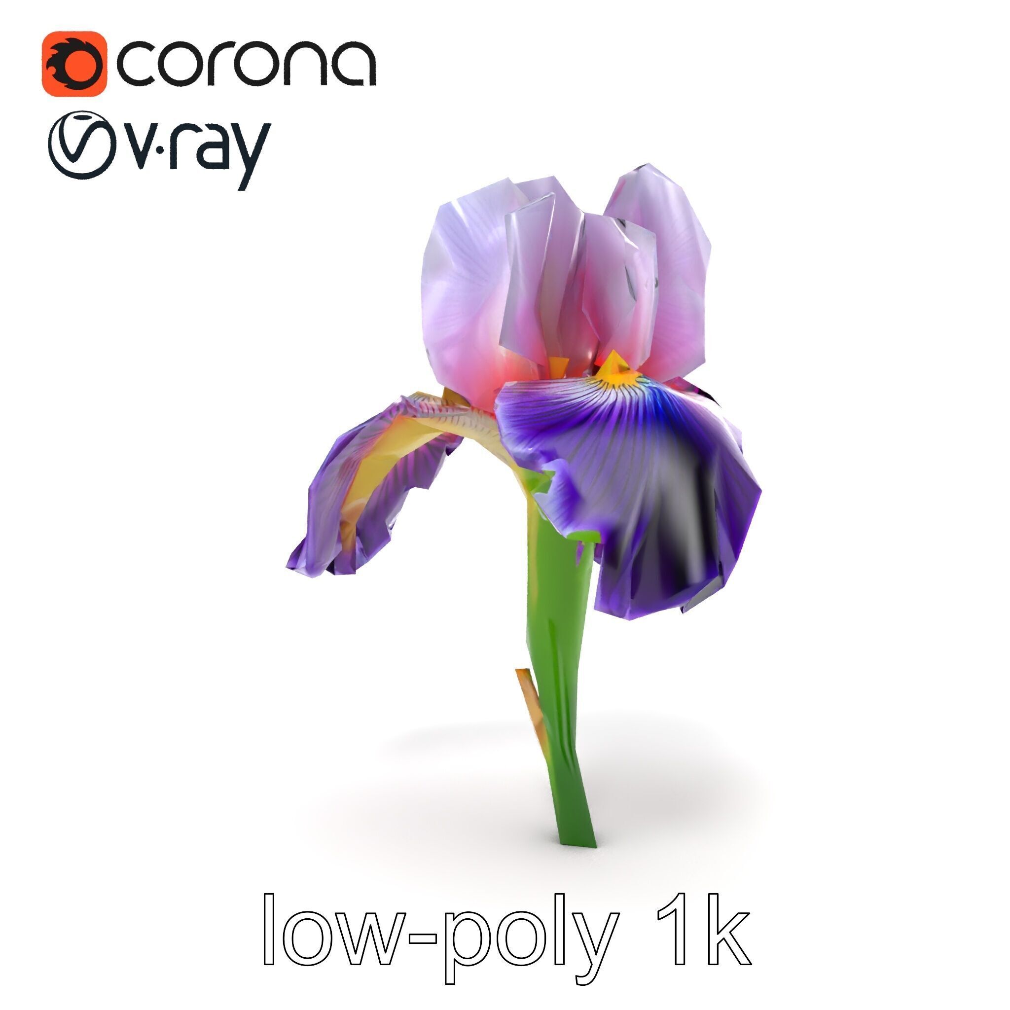 Double Iris Flower Layered Petals model pack Low-poly 3D model_15