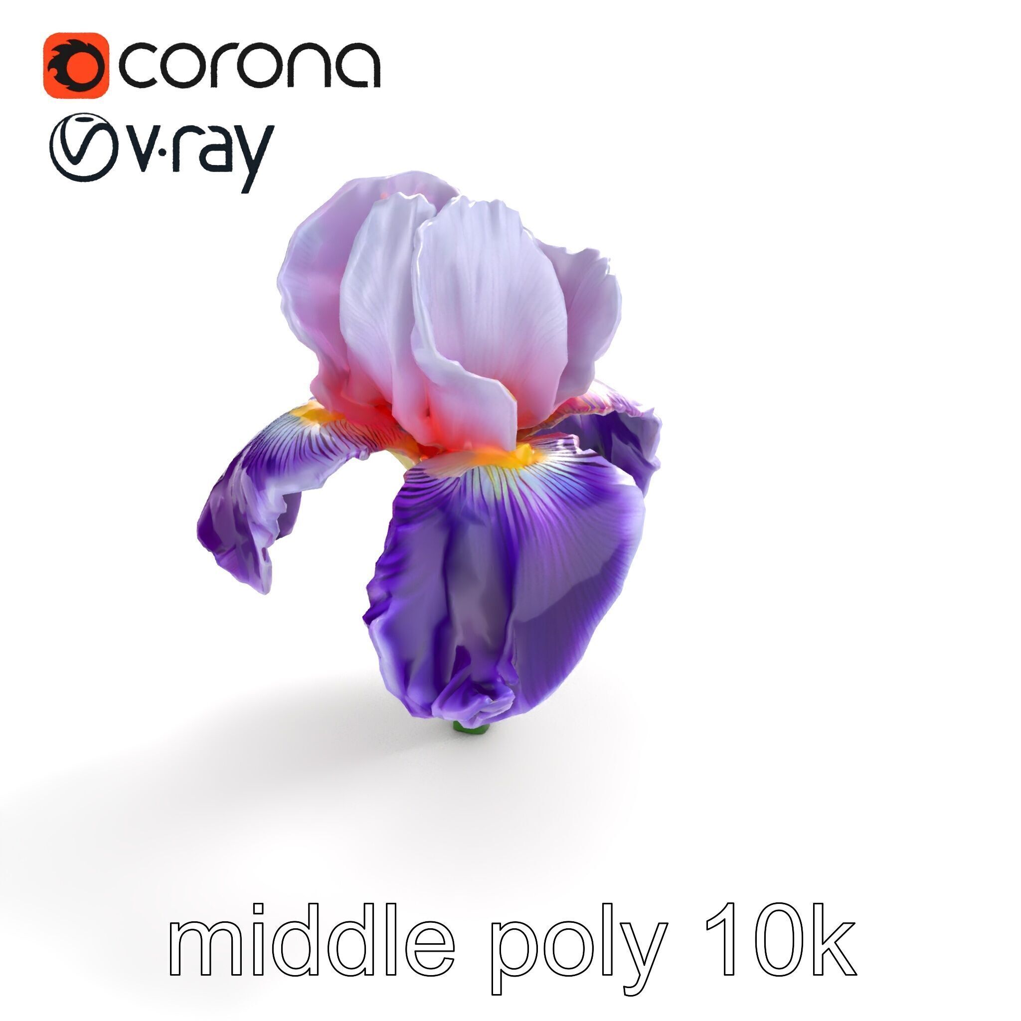 Double Iris Flower Layered Petals model pack Low-poly 3D model_8