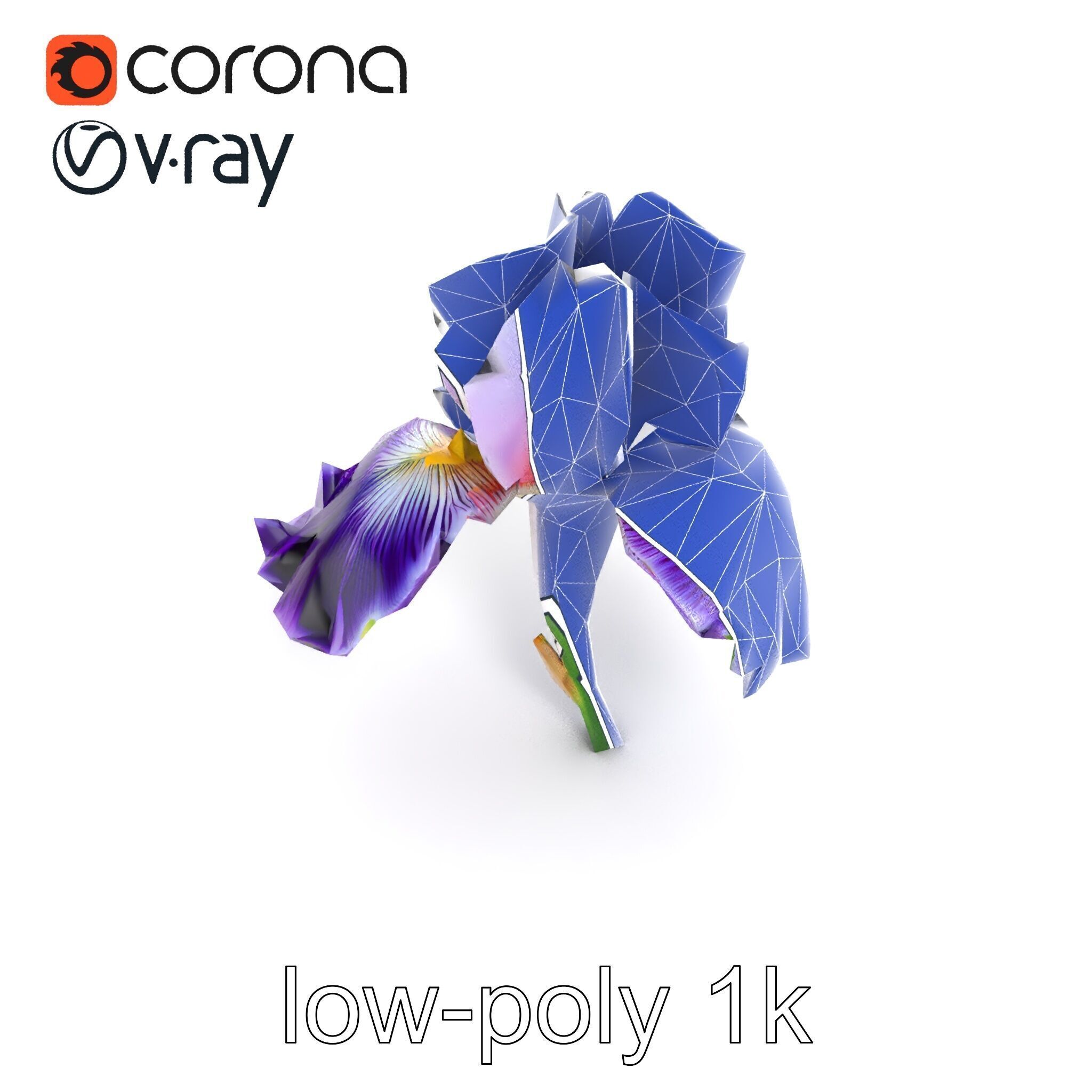 Double Iris Flower Layered Petals model pack Low-poly 3D model_13