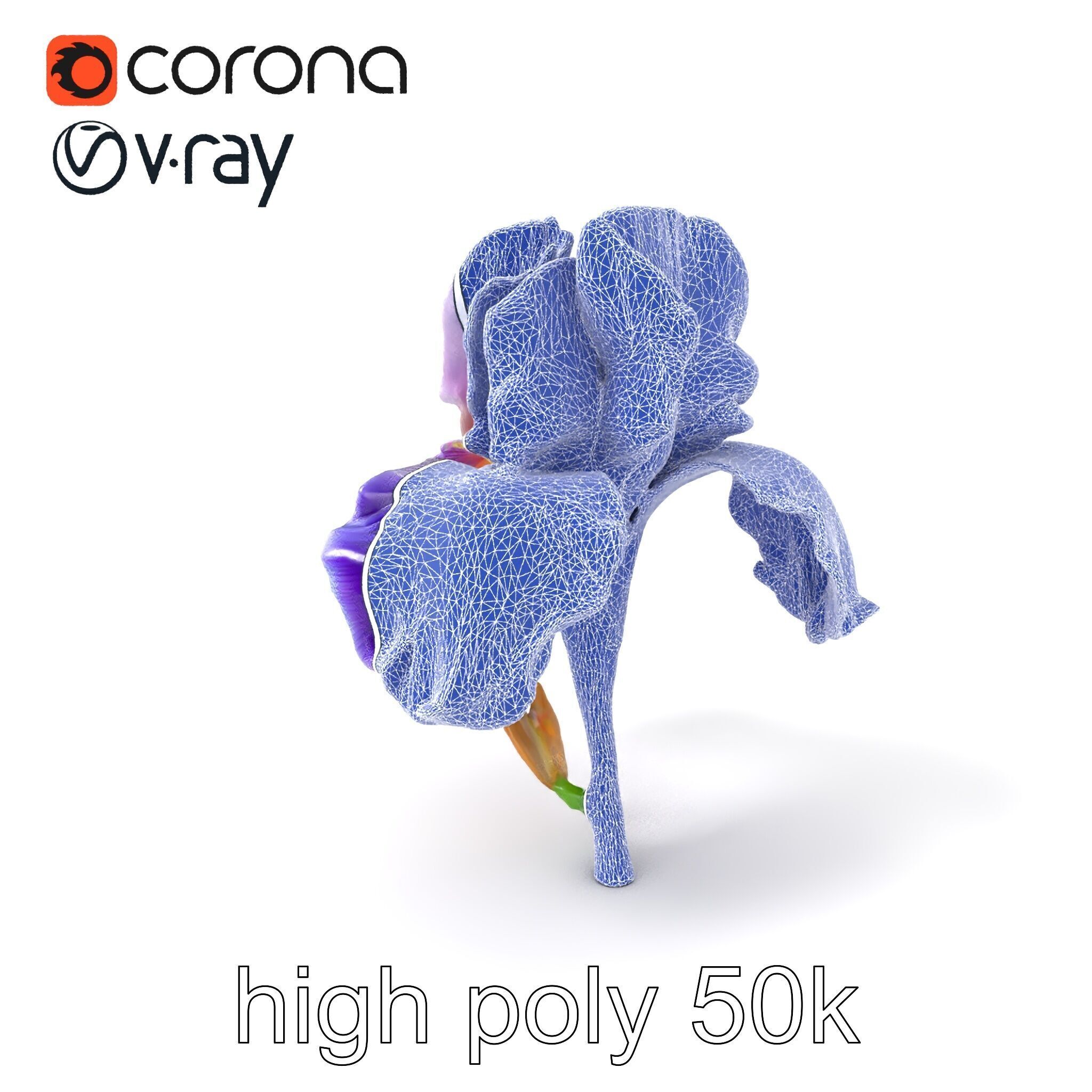 Double Iris Flower Layered Petals model pack Low-poly 3D model_10