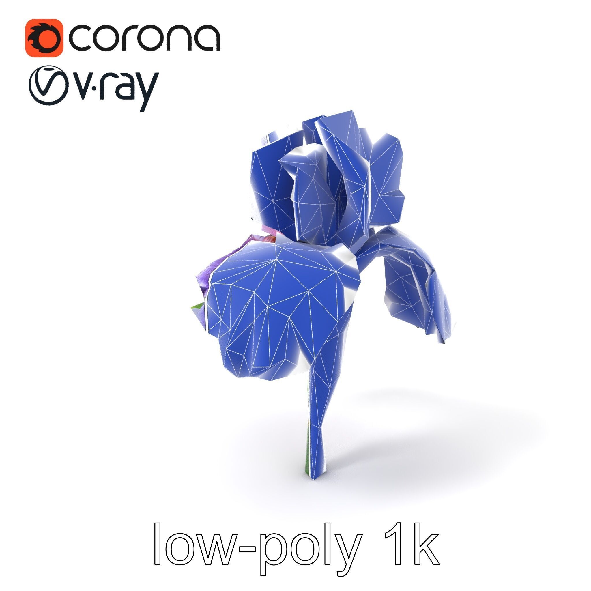 Double Iris Flower Layered Petals model pack Low-poly 3D model_7