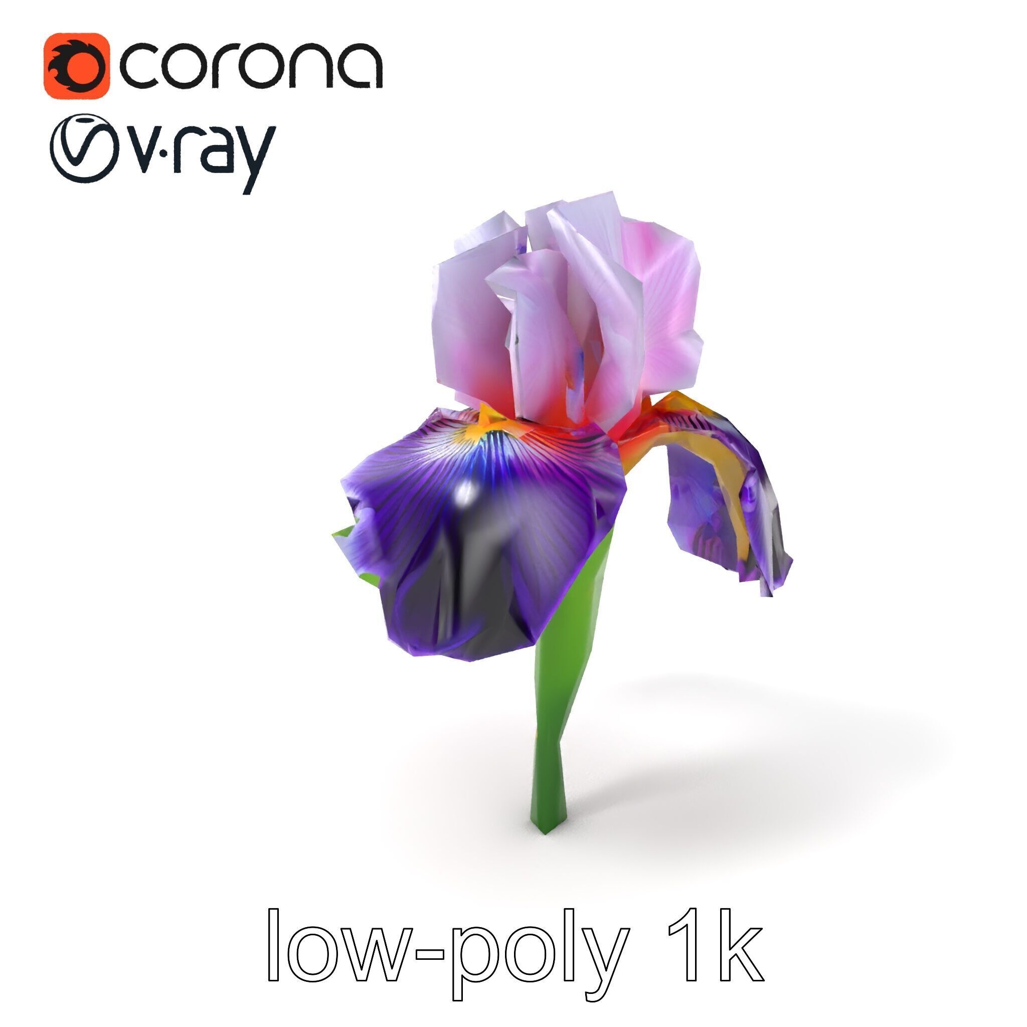 Double Iris Flower Layered Petals model pack Low-poly 3D model_5