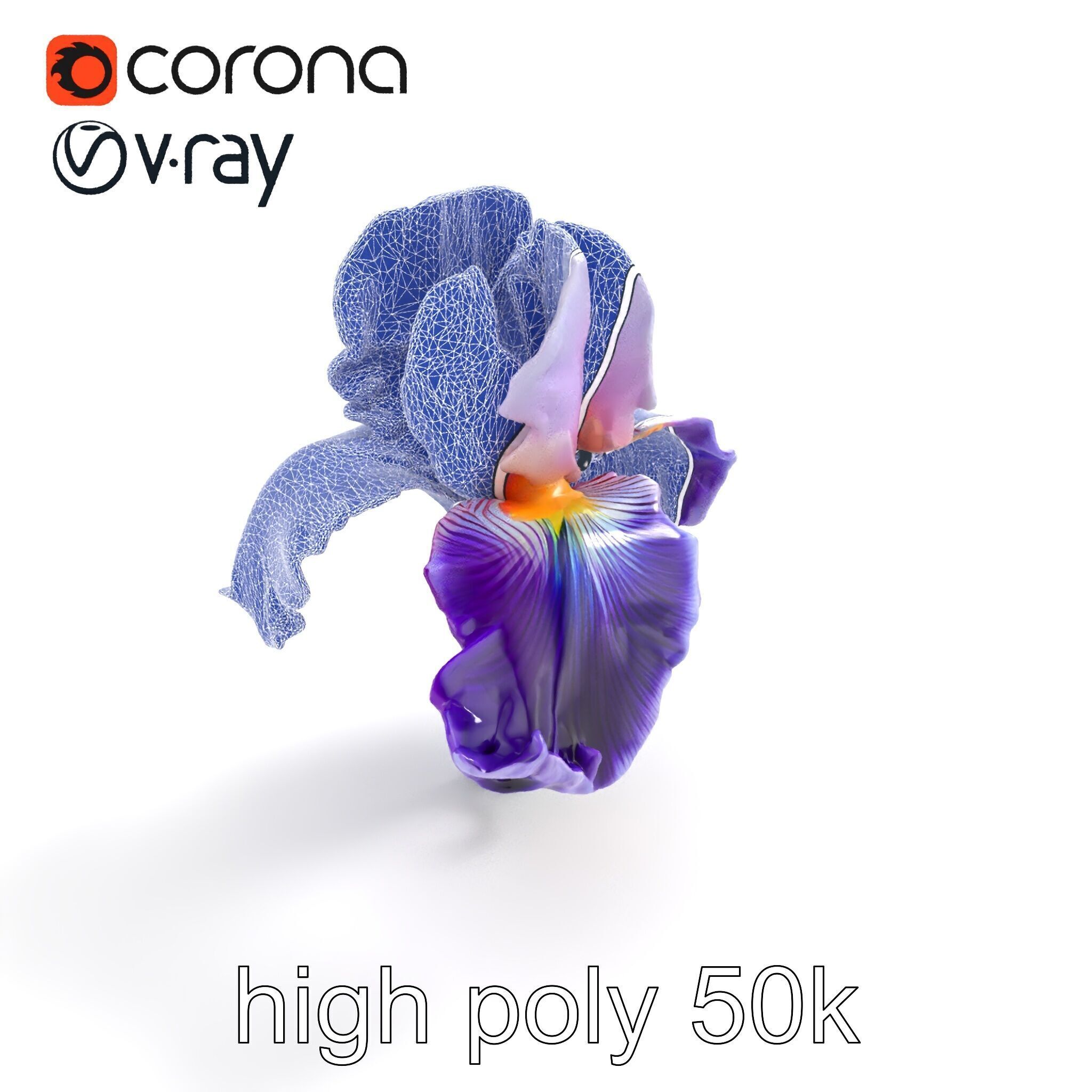 Double Iris Flower Layered Petals model pack Low-poly 3D model_14