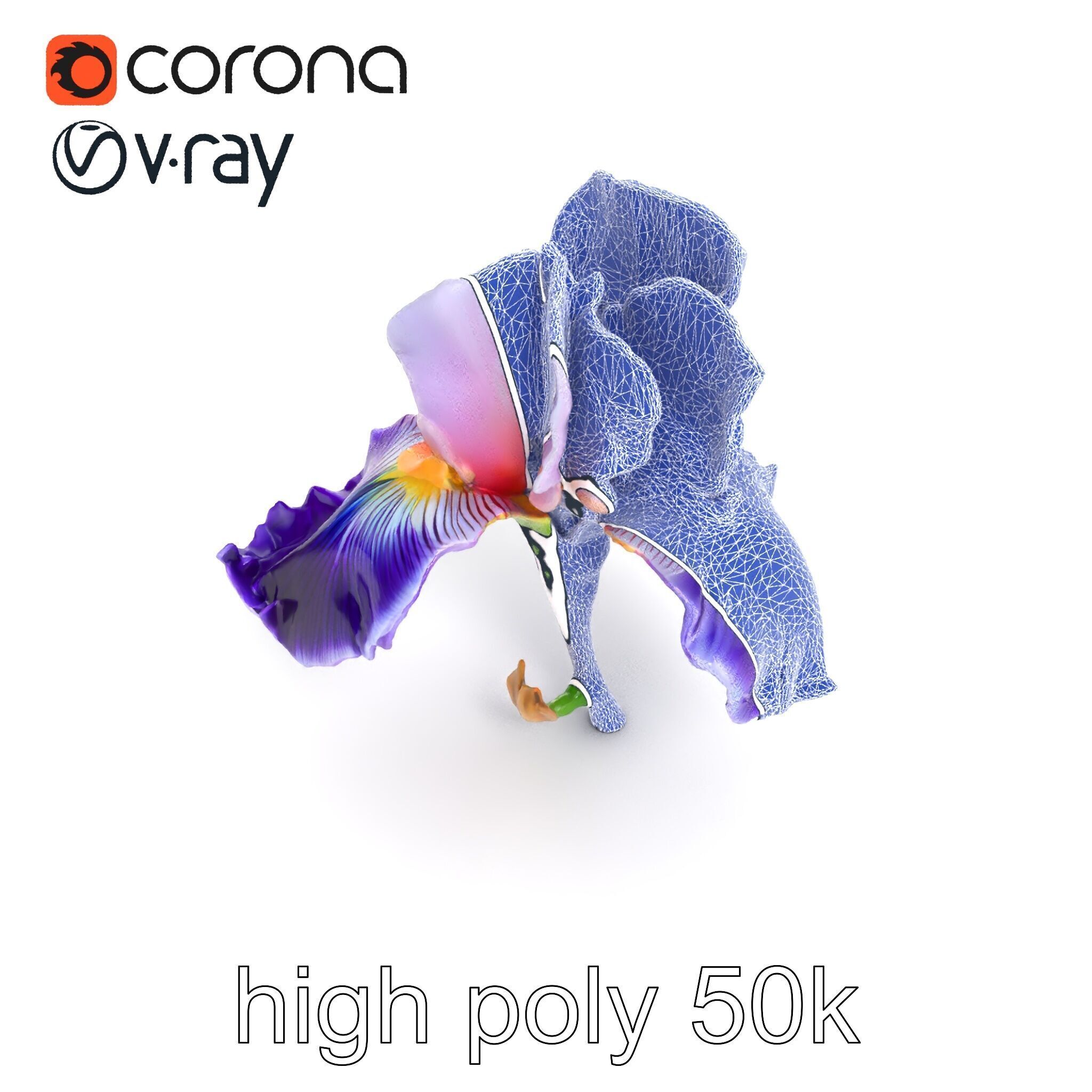 Double Iris Flower Layered Petals model pack Low-poly 3D model_32