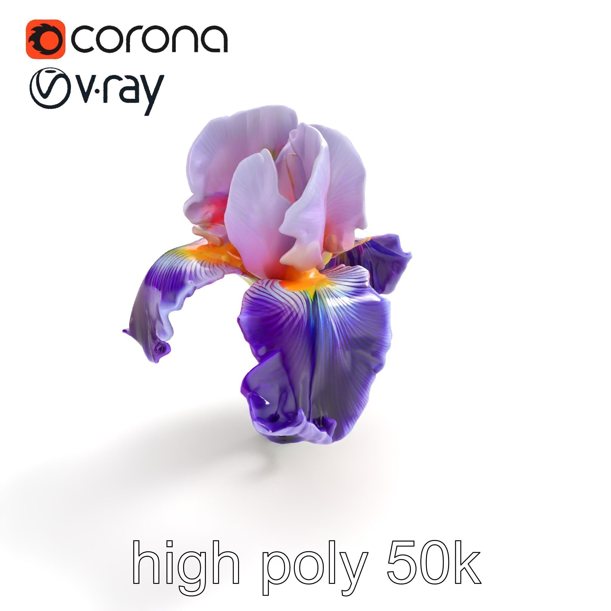 Double Iris Flower Layered Petals model pack Low-poly 3D model_30