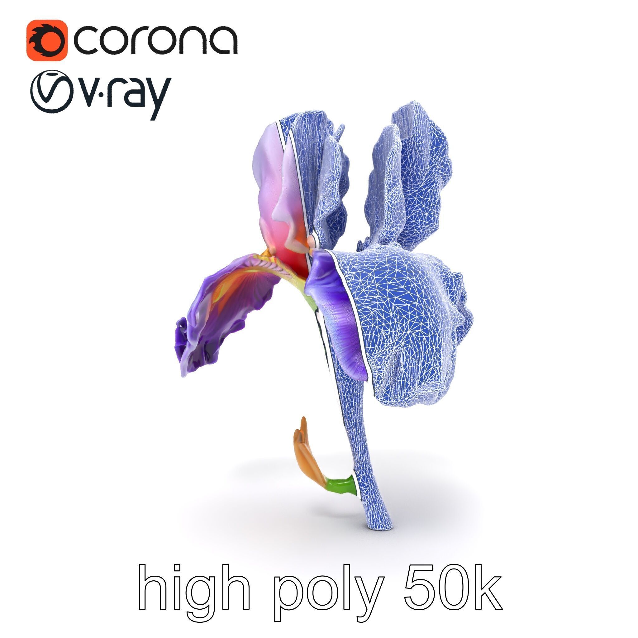 Double Iris Flower Layered Petals model pack Low-poly 3D model_31