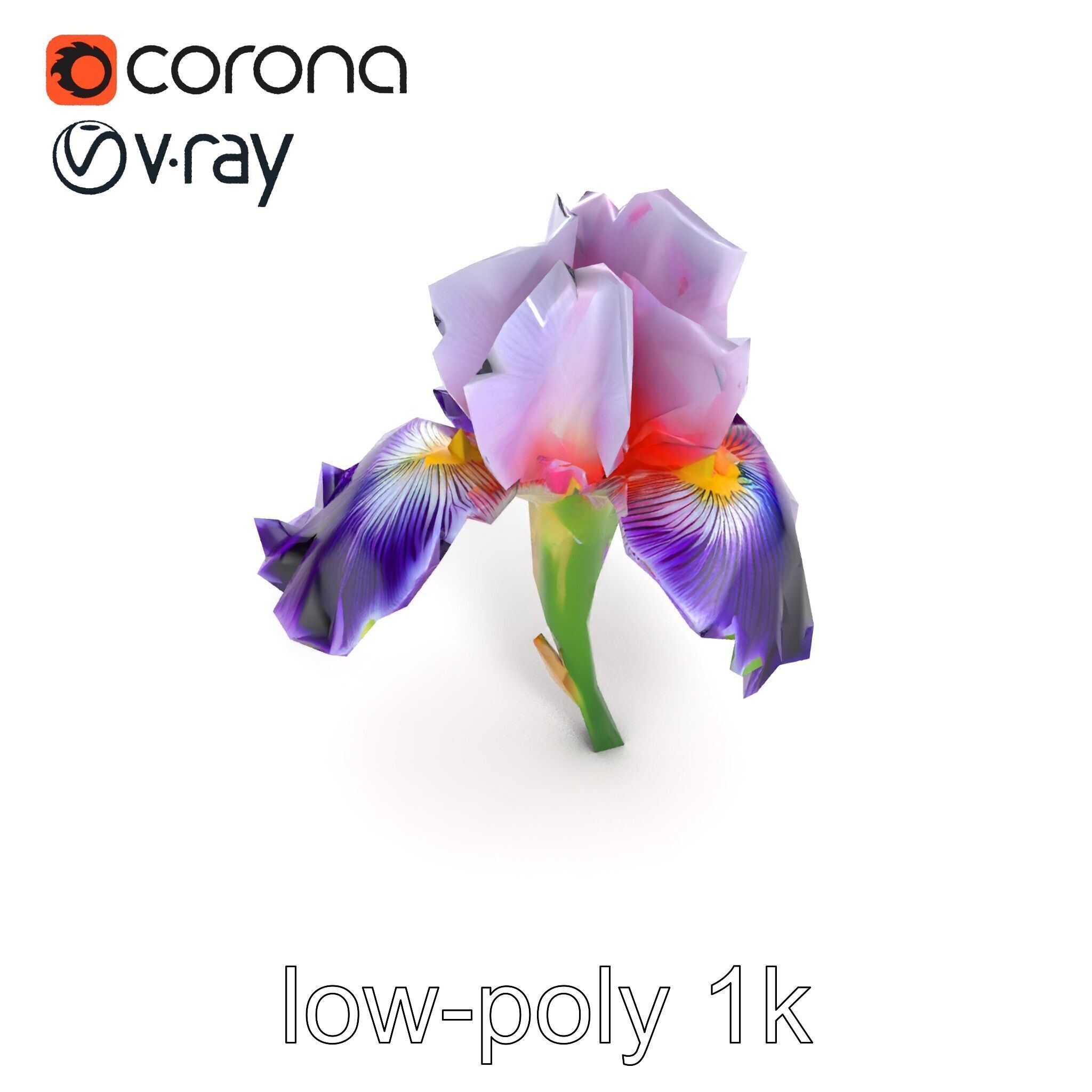 Double Iris Flower Layered Petals model pack Low-poly 3D model_16