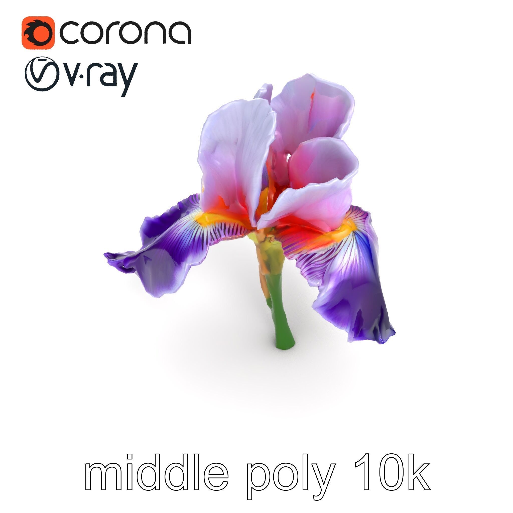 Double Iris Flower Layered Petals model pack Low-poly 3D model_20