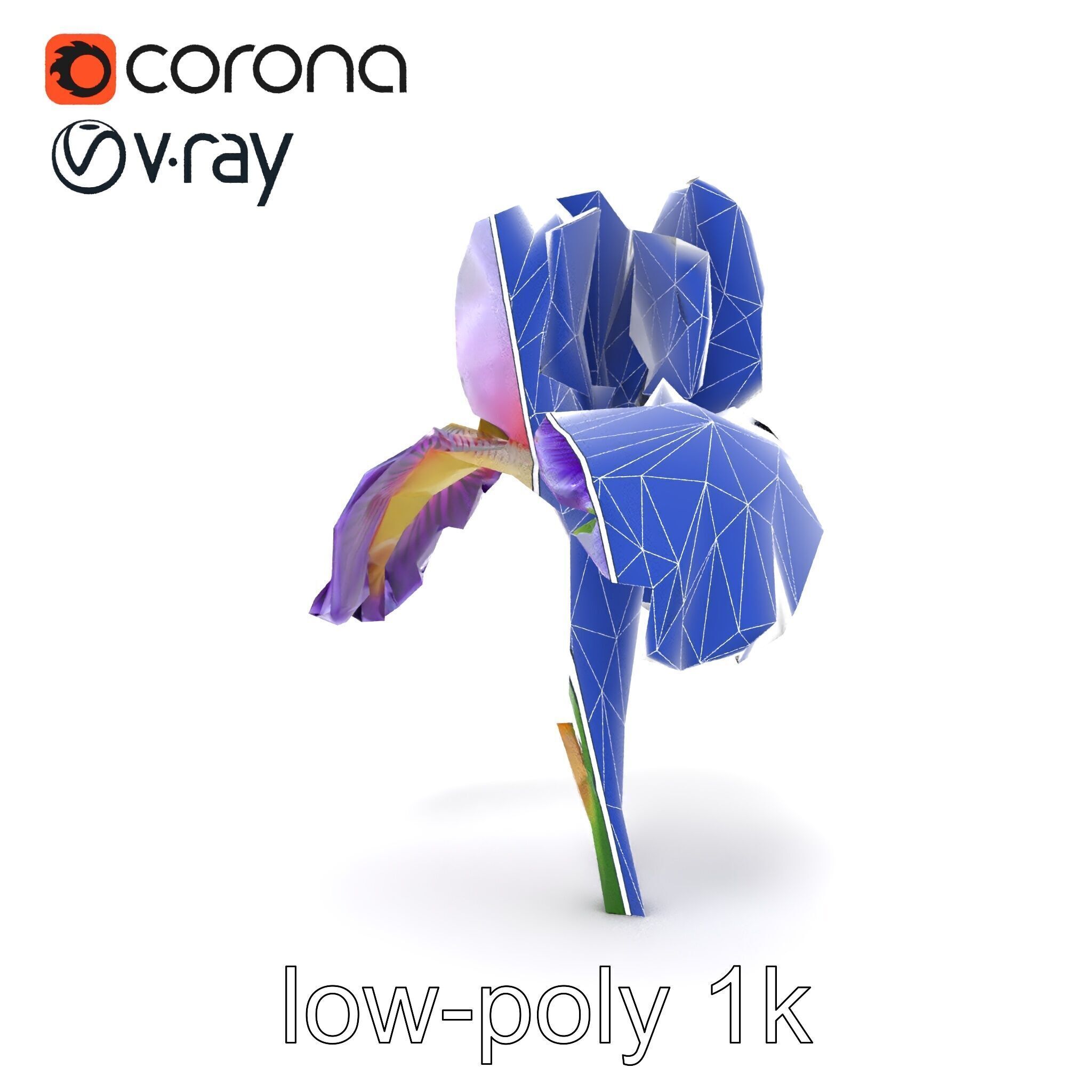 Double Iris Flower Layered Petals model pack Low-poly 3D model_21