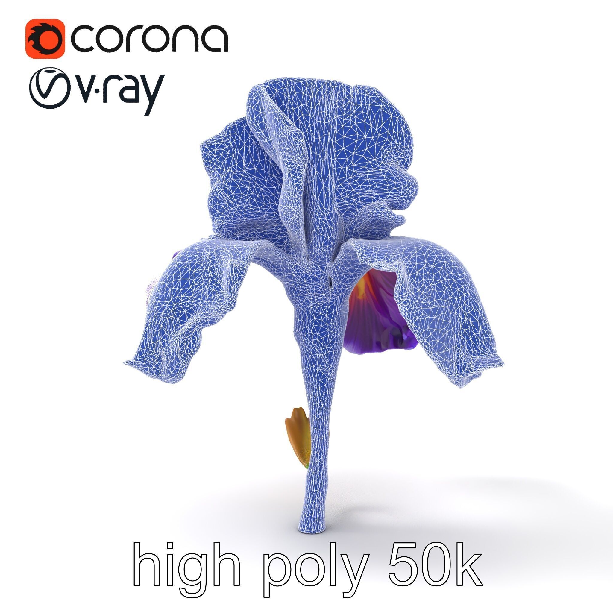 Double Iris Flower Layered Petals model pack Low-poly 3D model_27