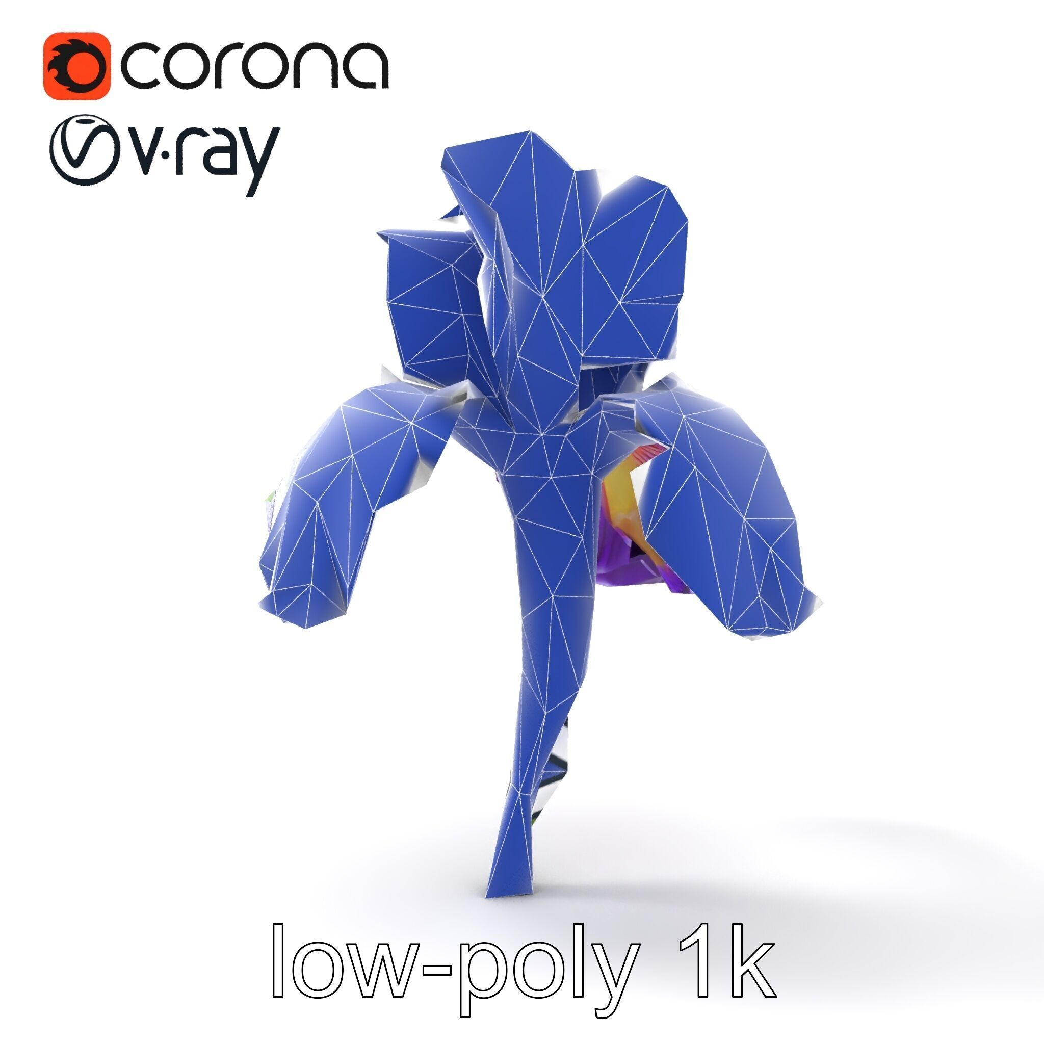 Double Iris Flower Layered Petals model pack Low-poly 3D model_12