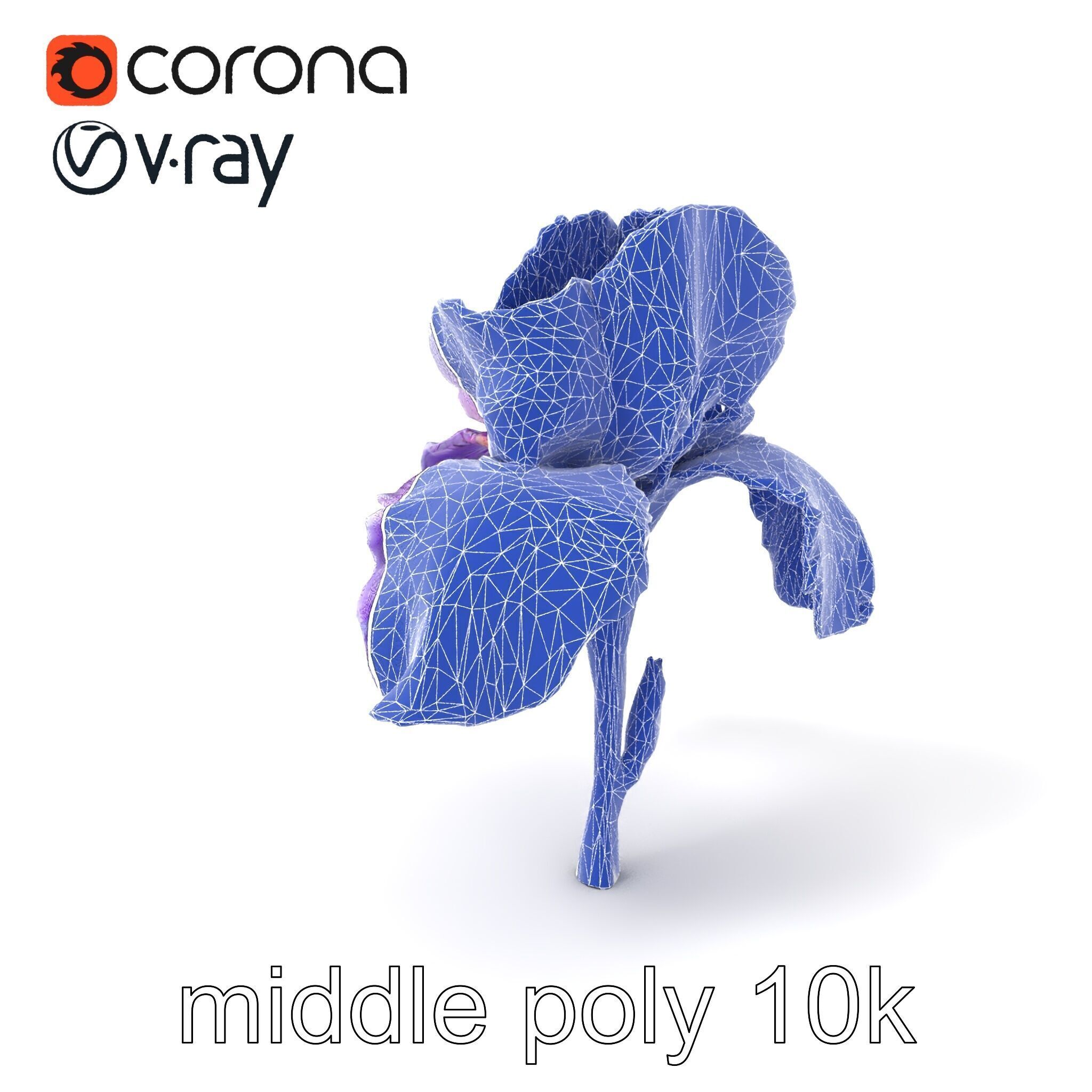 Double Iris Flower Layered Petals model pack Low-poly 3D model_6