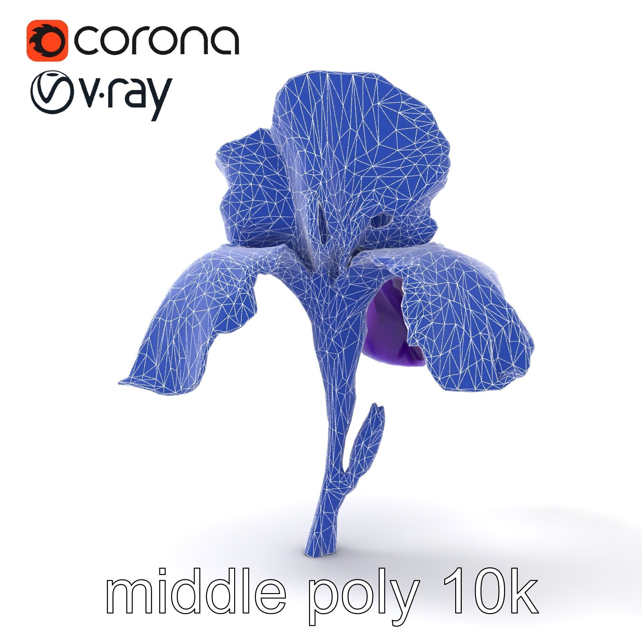 Double Iris Flower Layered Petals model pack Low-poly 3D model_28