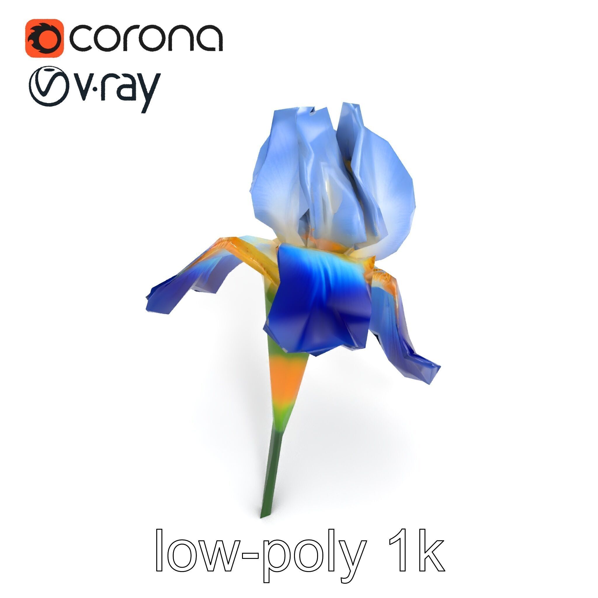 Bicolor Iris Flower Detailed Model Pack Low-poly 3D model_17