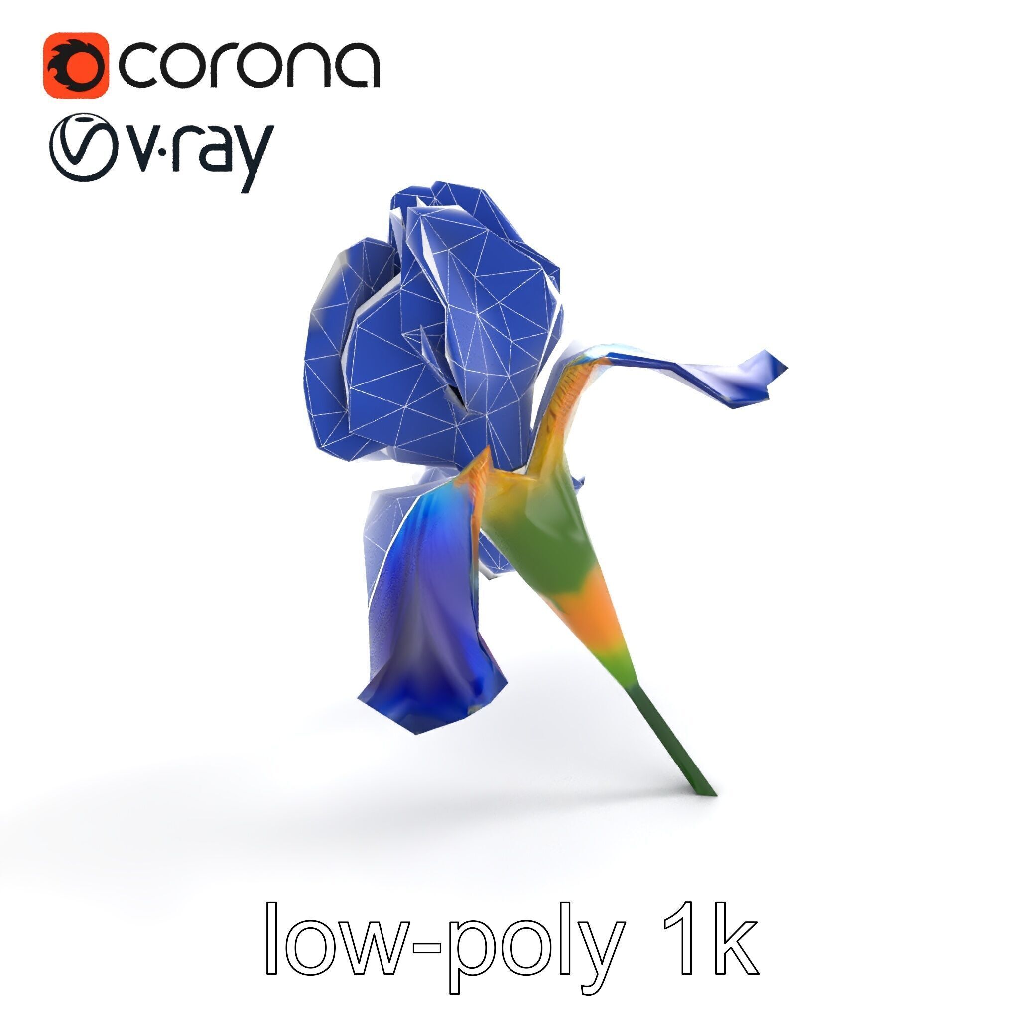 Bicolor Iris Flower Detailed Model Pack Low-poly 3D model_12