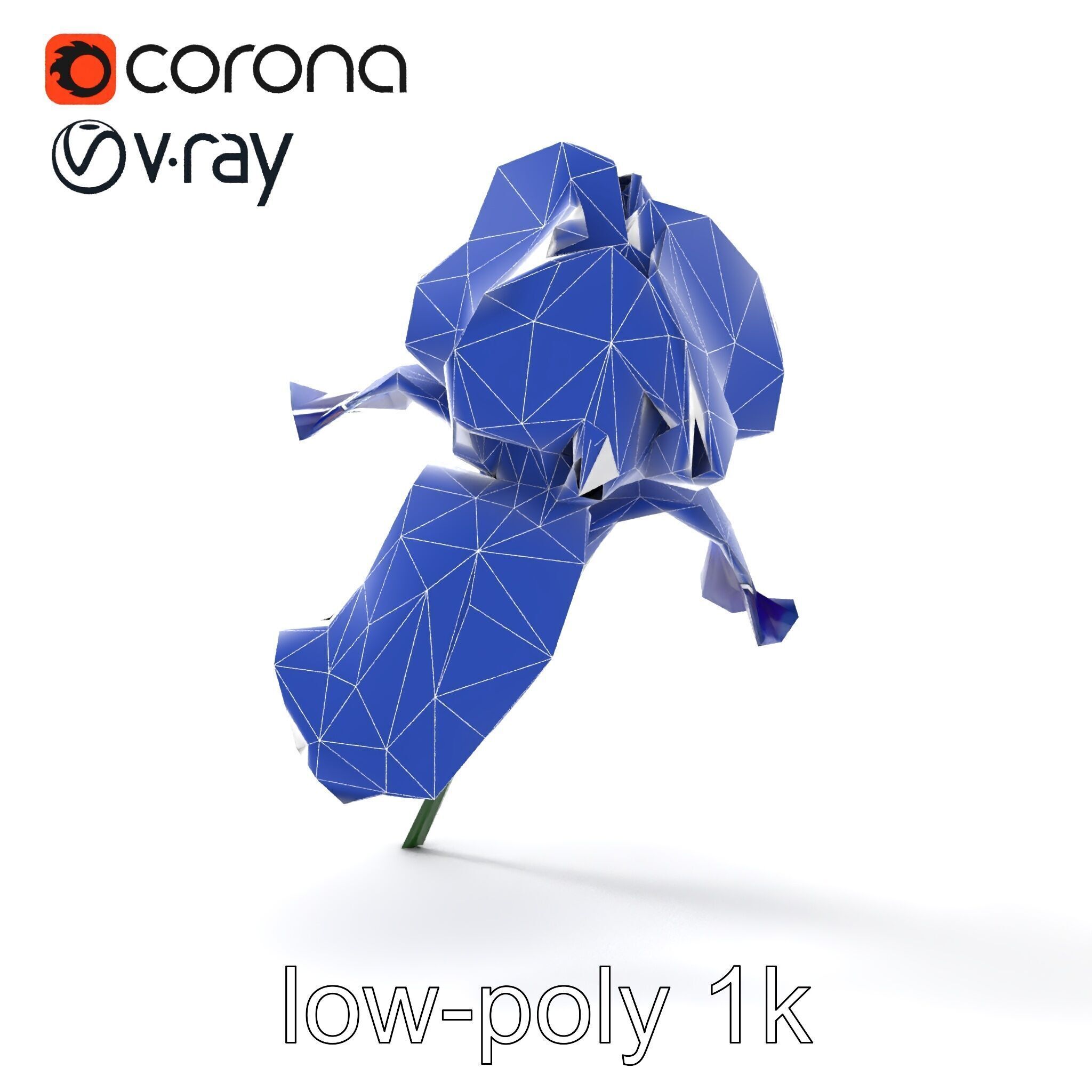 Bicolor Iris Flower Detailed Model Pack Low-poly 3D model_21