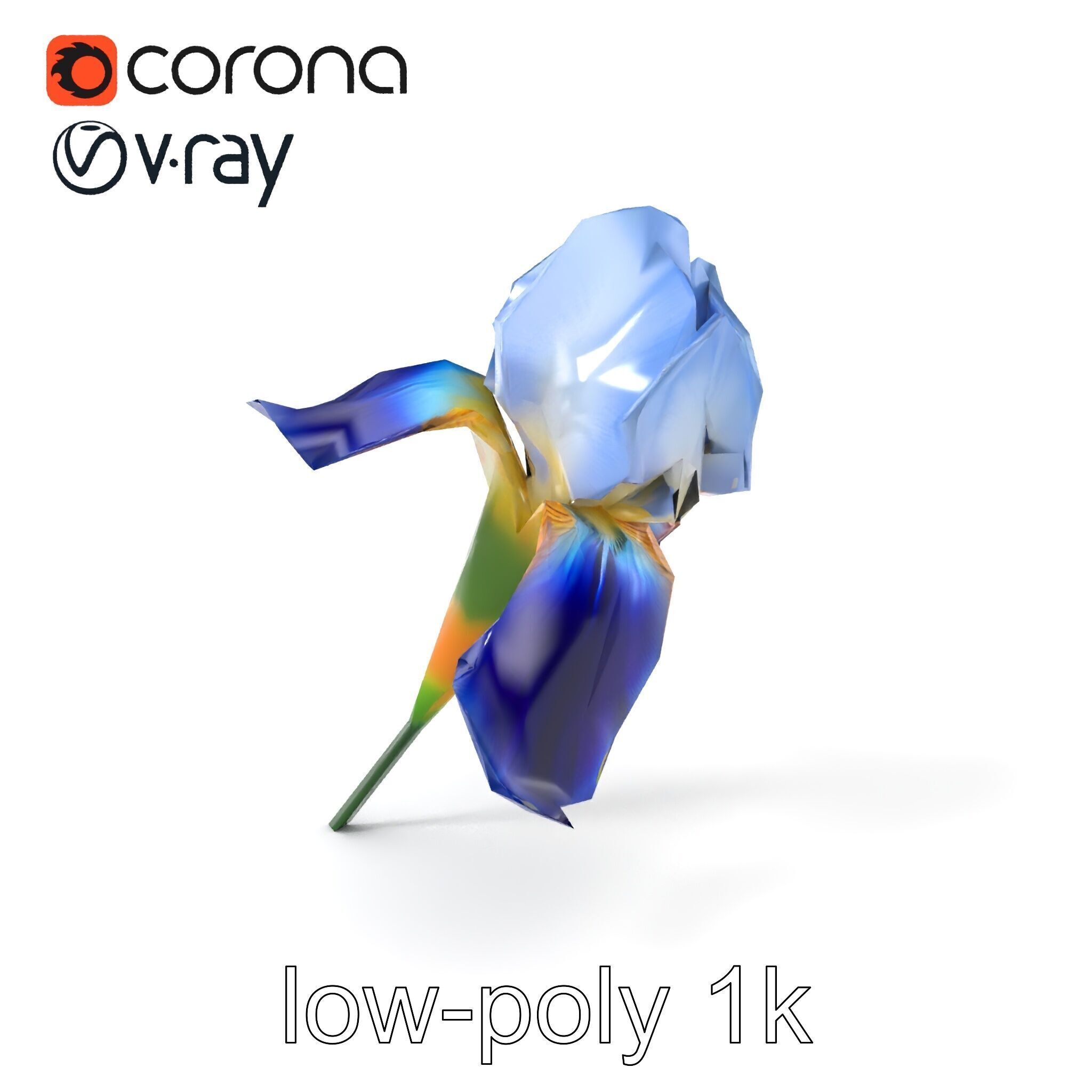 Bicolor Iris Flower Detailed Model Pack Low-poly 3D model_4