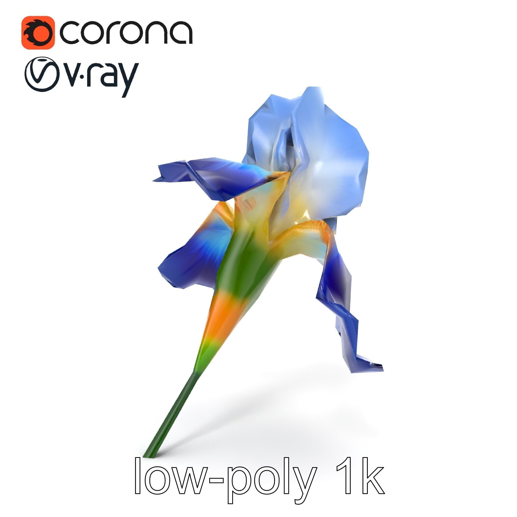 Bicolor Iris Flower Detailed Model Pack Low-poly 3D model_15