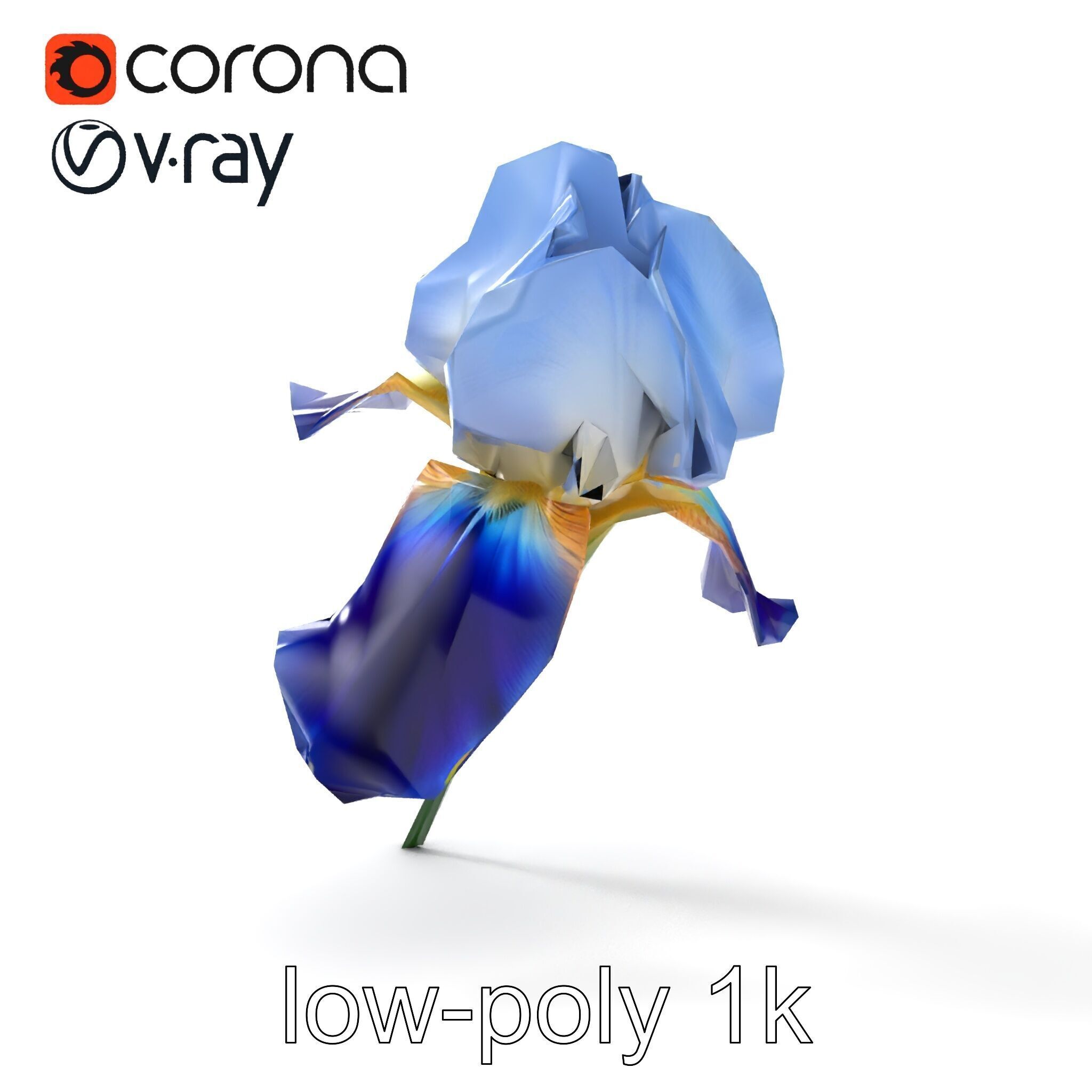 Bicolor Iris Flower Detailed Model Pack Low-poly 3D model_27