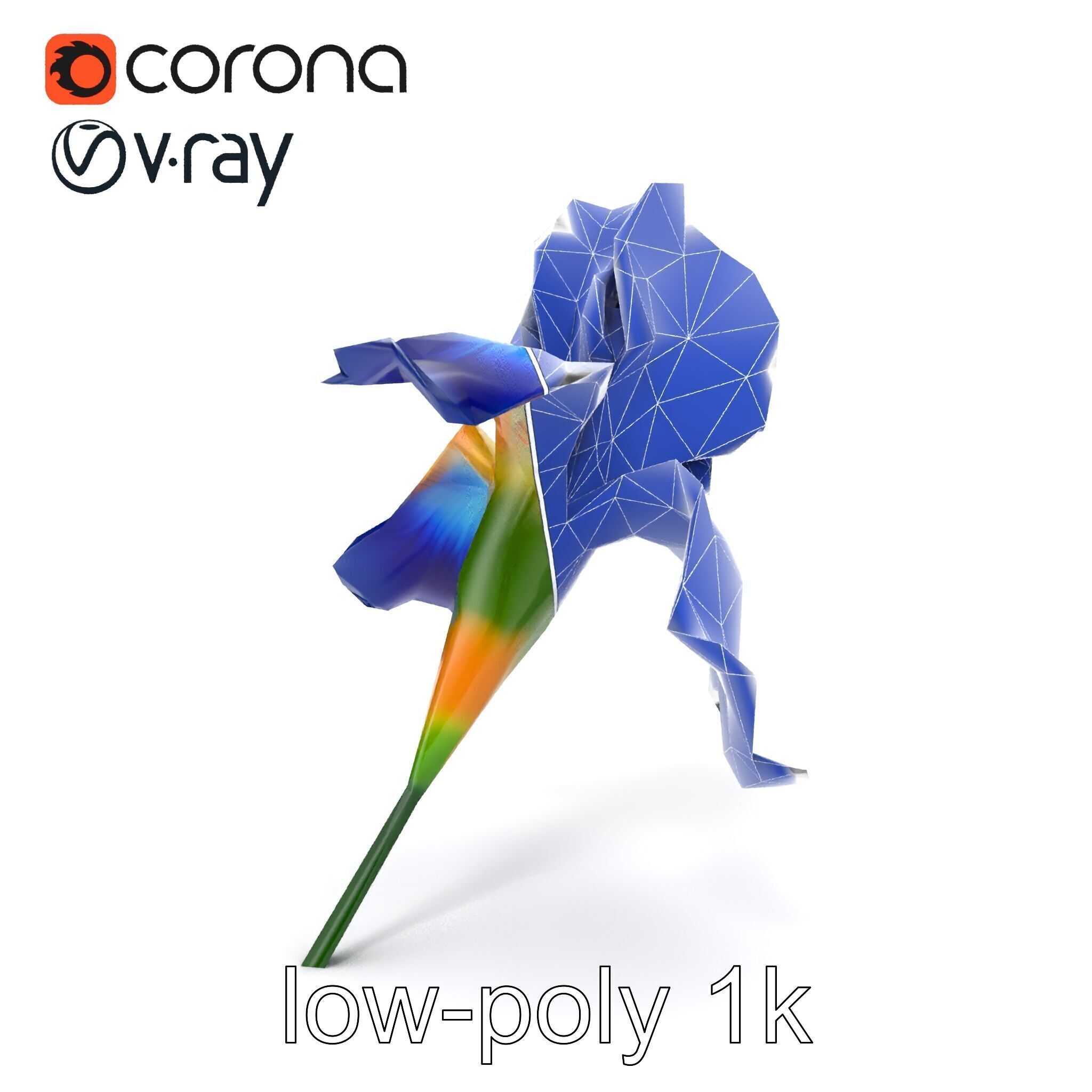 Bicolor Iris Flower Detailed Model Pack Low-poly 3D model_28