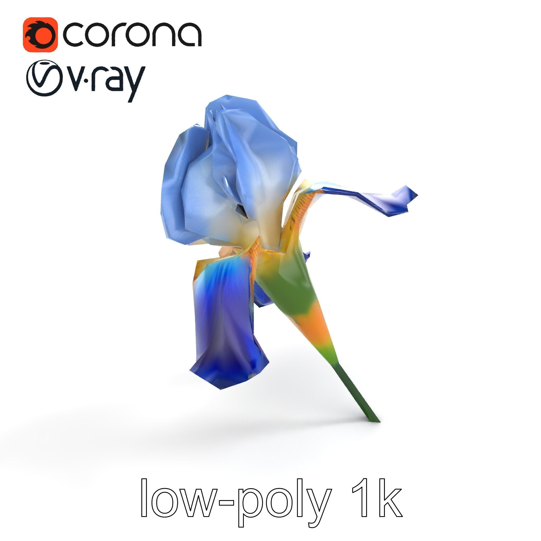 Bicolor Iris Flower Detailed Model Pack Low-poly 3D model_8