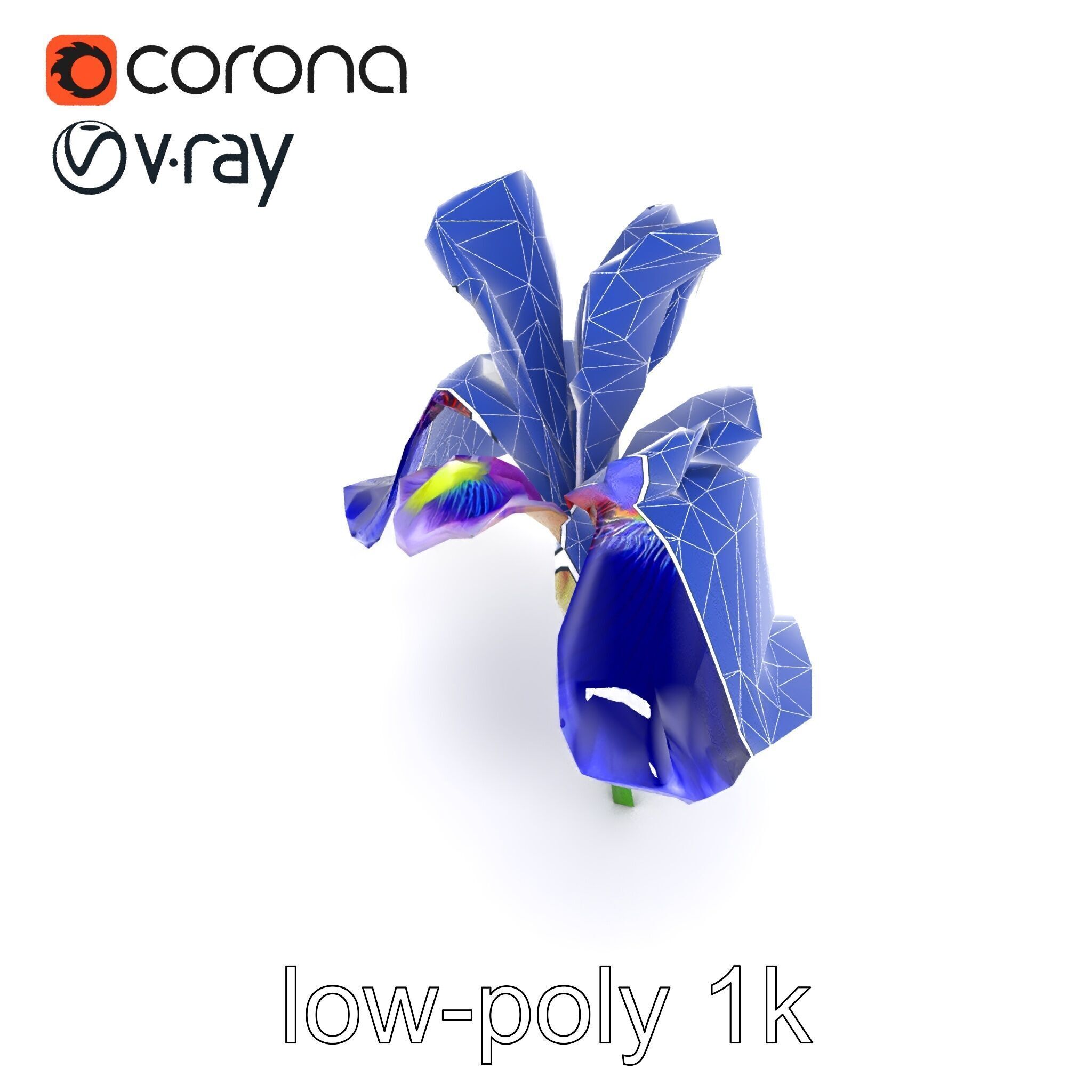 Elegant Blue Iris Flower 3D Model Pack Low-poly 3D model_31