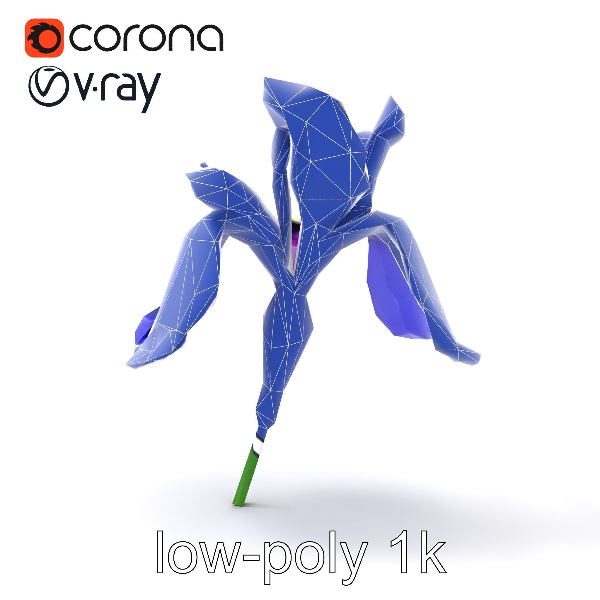 Elegant Blue Iris Flower 3D Model Pack Low-poly 3D model_26