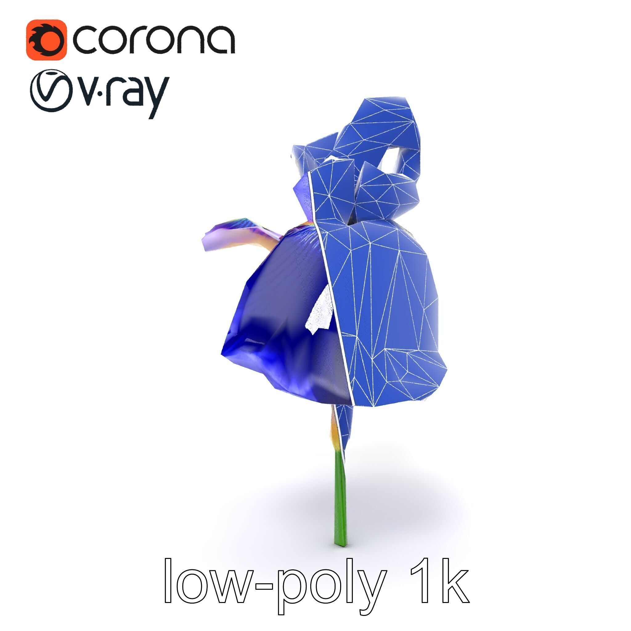 Elegant Blue Iris Flower 3D Model Pack Low-poly 3D model_32