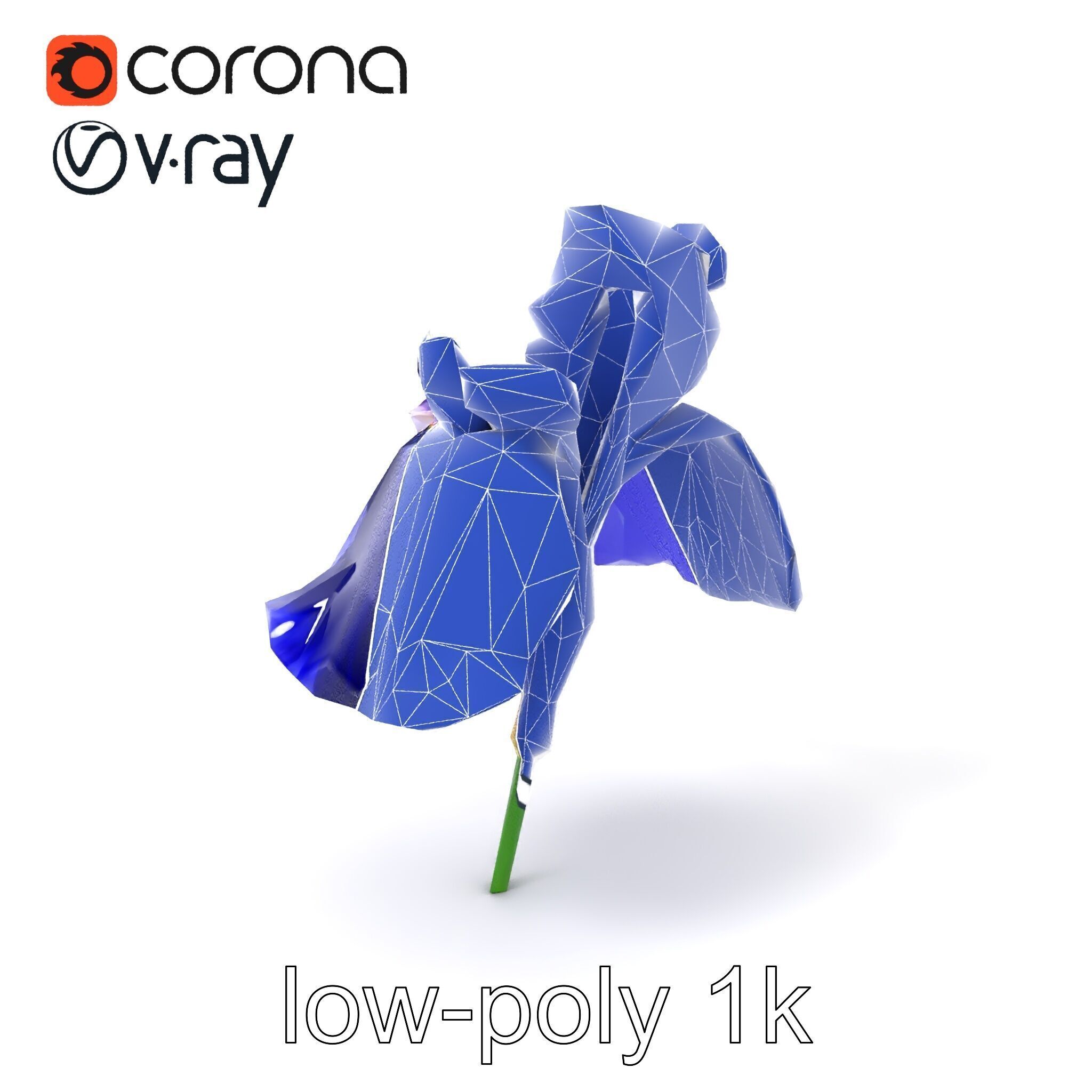 Elegant Blue Iris Flower 3D Model Pack Low-poly 3D model_7