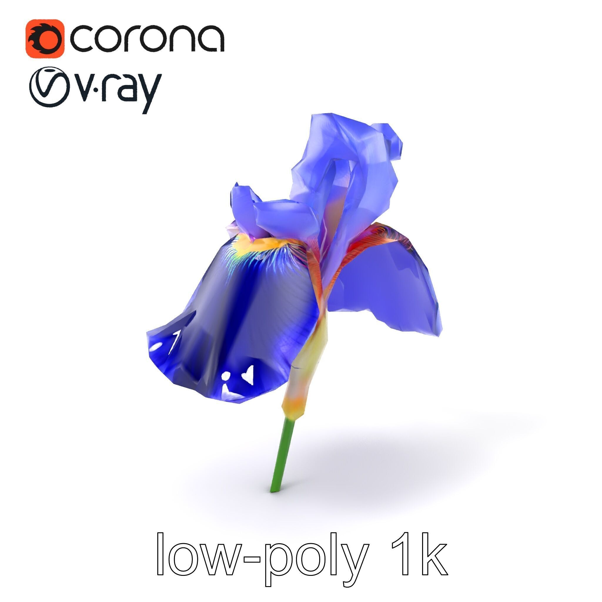 Elegant Blue Iris Flower 3D Model Pack Low-poly 3D model_5