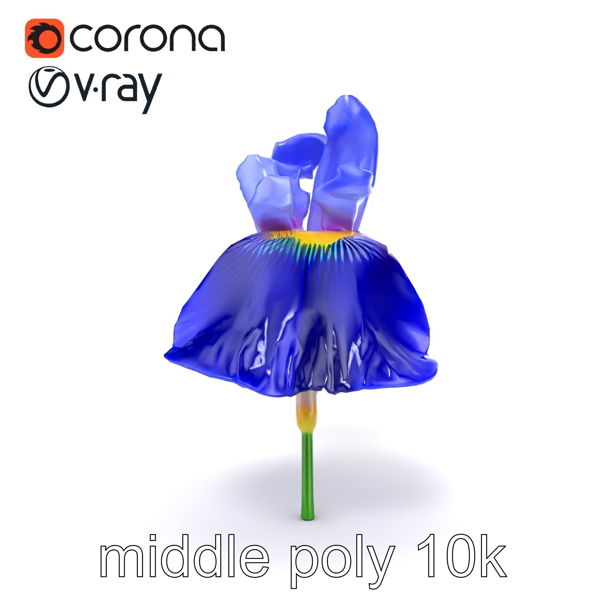 Elegant Blue Iris Flower 3D Model Pack Low-poly 3D model_25