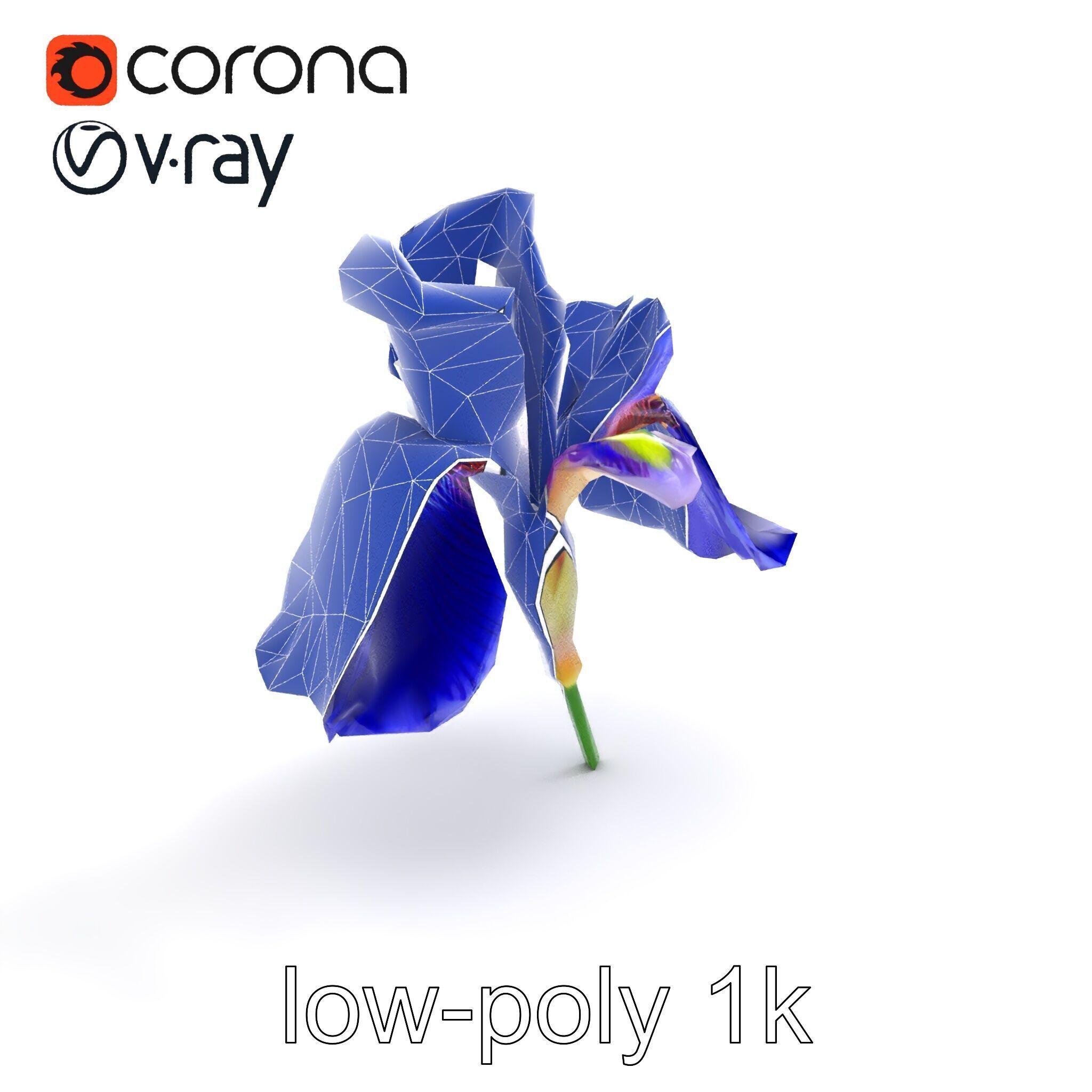 Elegant Blue Iris Flower 3D Model Pack Low-poly 3D model_12