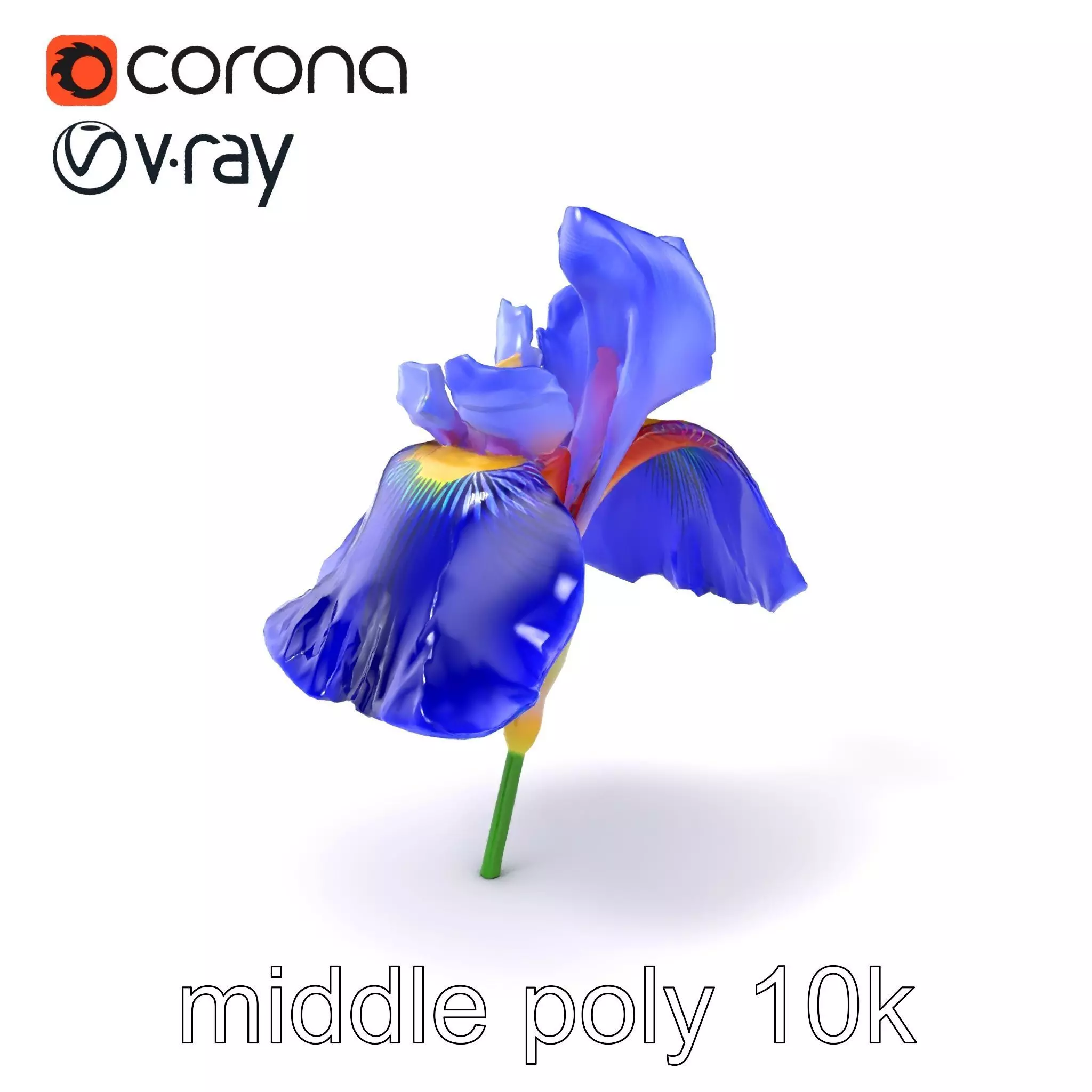 Elegant Blue Iris Flower 3D Model Pack Low-poly 3D model_0