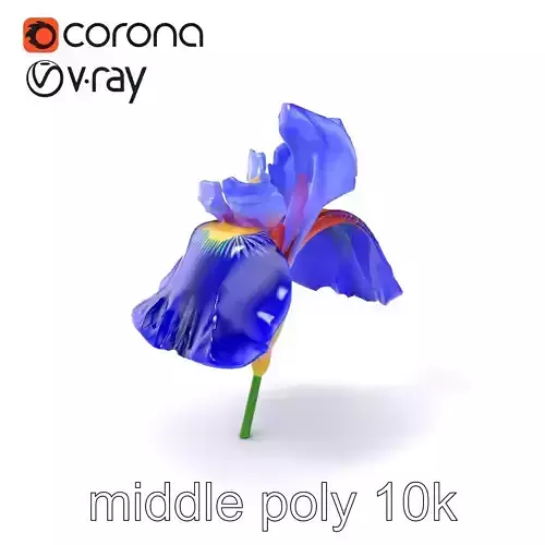 Elegant Blue Iris Flower 3D Model Pack Low-poly 3D model