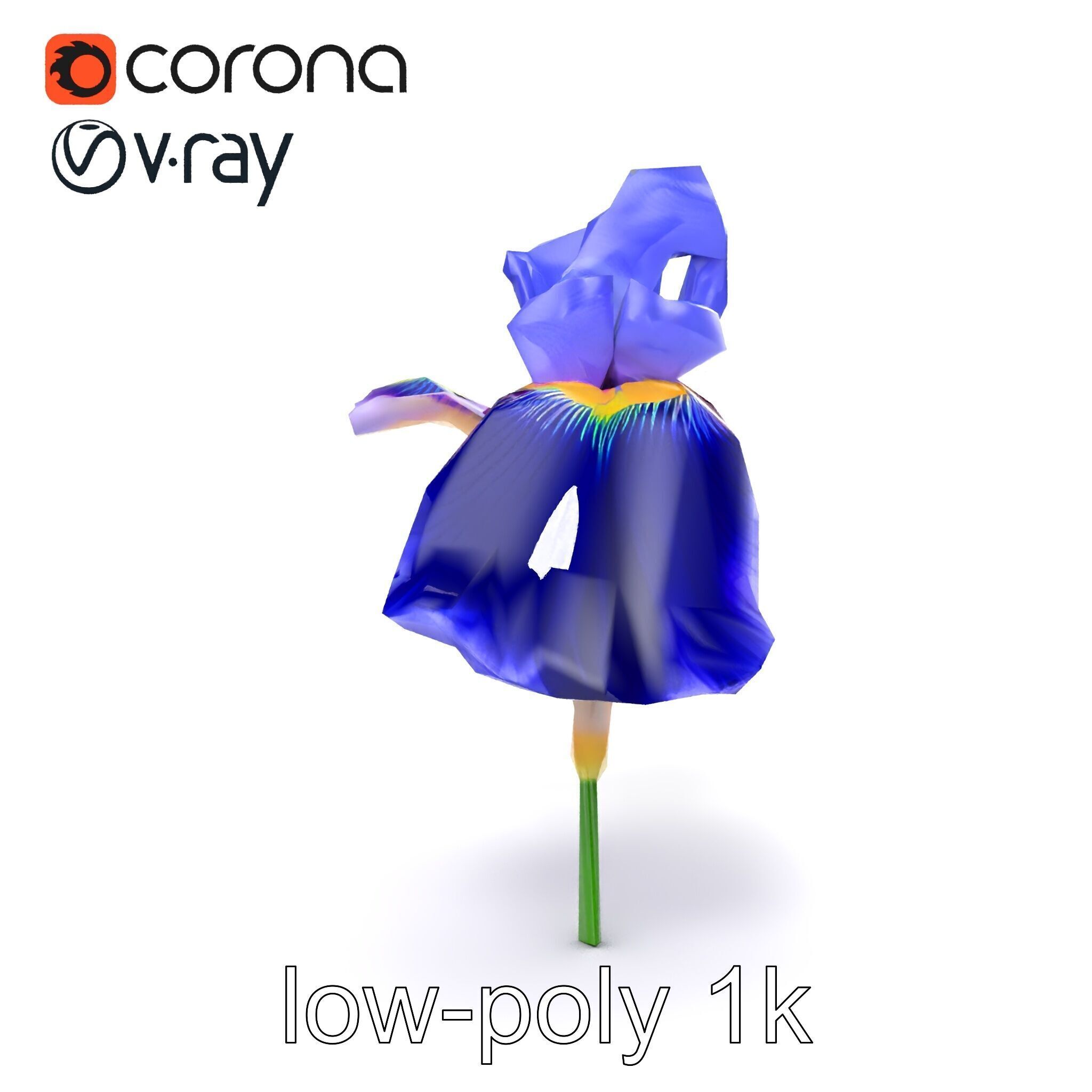 Elegant Blue Iris Flower 3D Model Pack Low-poly 3D model_23