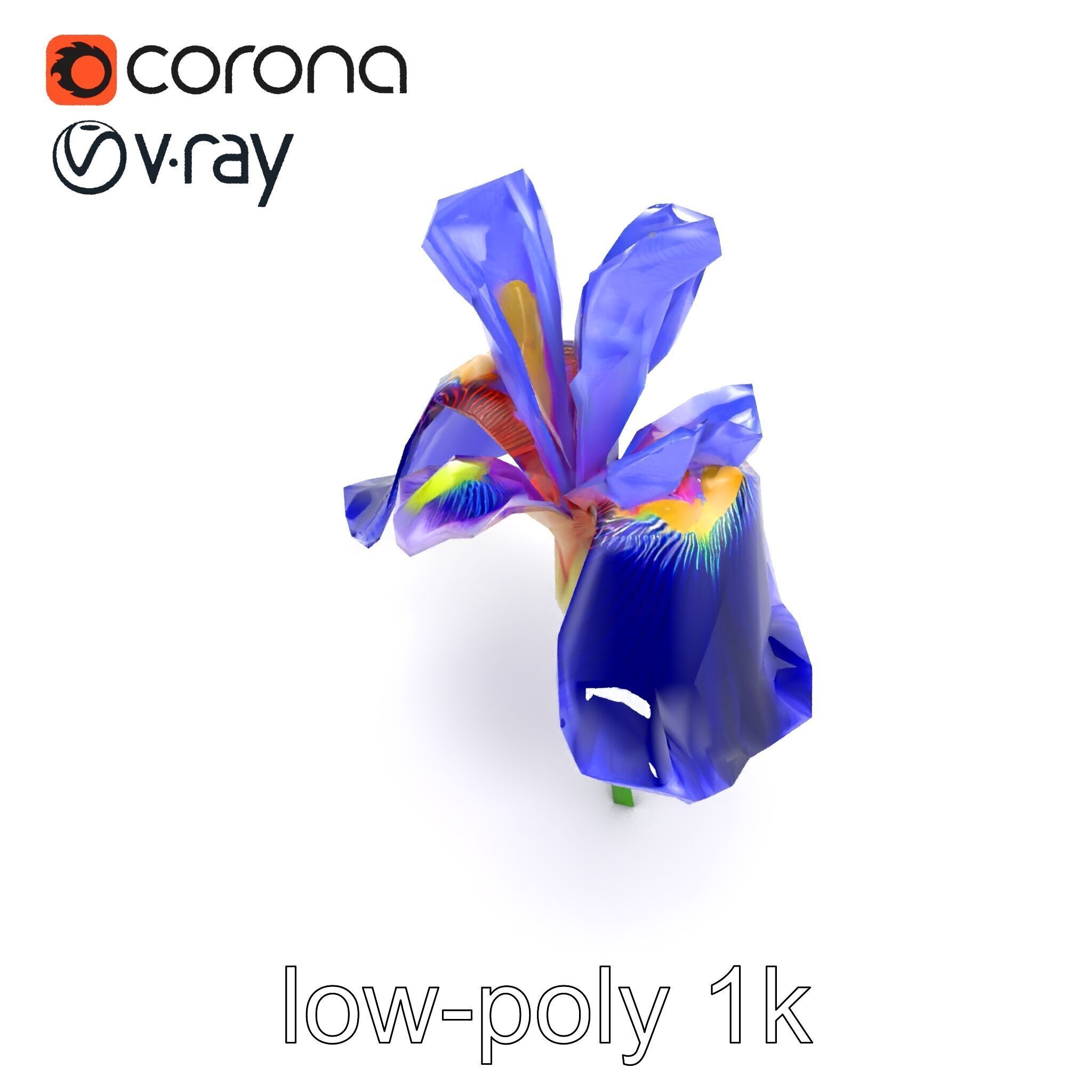 Elegant Blue Iris Flower 3D Model Pack Low-poly 3D model_19