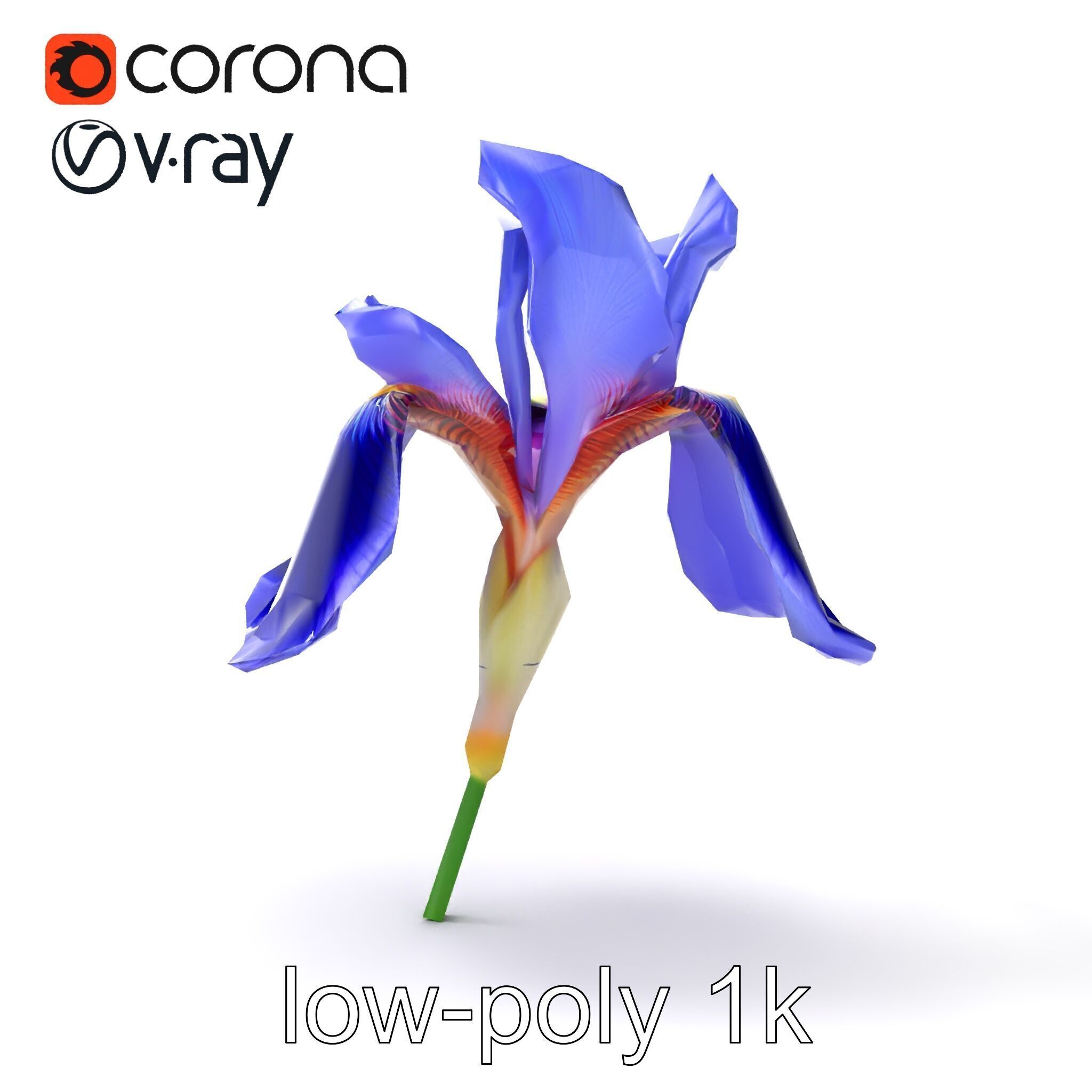 Elegant Blue Iris Flower 3D Model Pack Low-poly 3D model_28