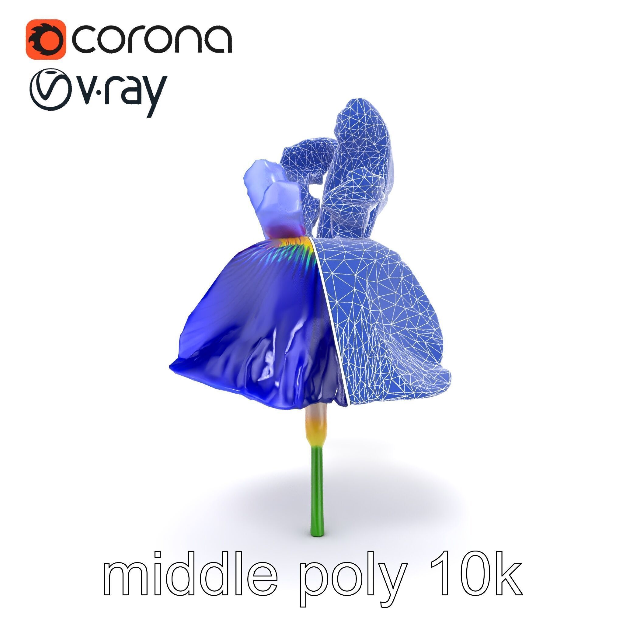 Elegant Blue Iris Flower 3D Model Pack Low-poly 3D model_24