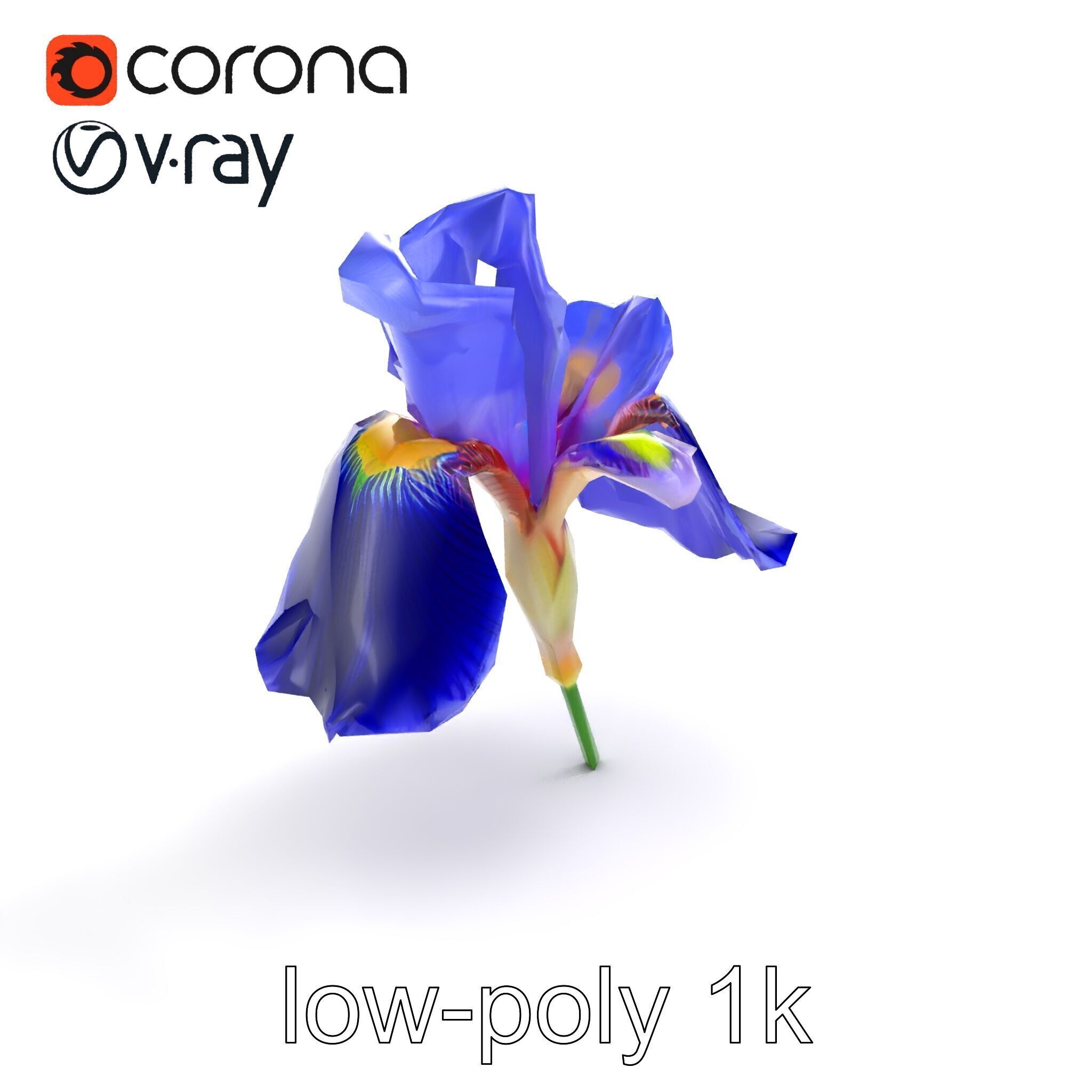 Elegant Blue Iris Flower 3D Model Pack Low-poly 3D model_9