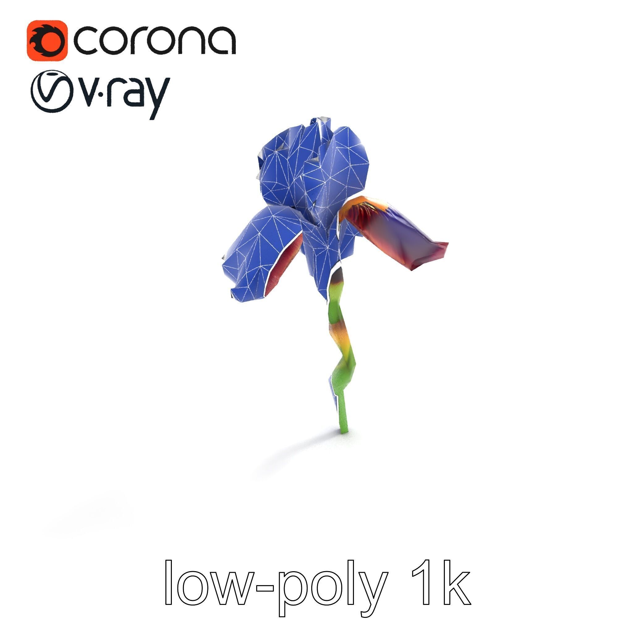 Dwarf Iris Bloom Miniature Elegance model pack Low-poly 3D model_26