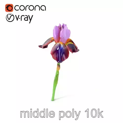 Dwarf Iris Bloom Miniature Elegance model pack Low-poly 3D model