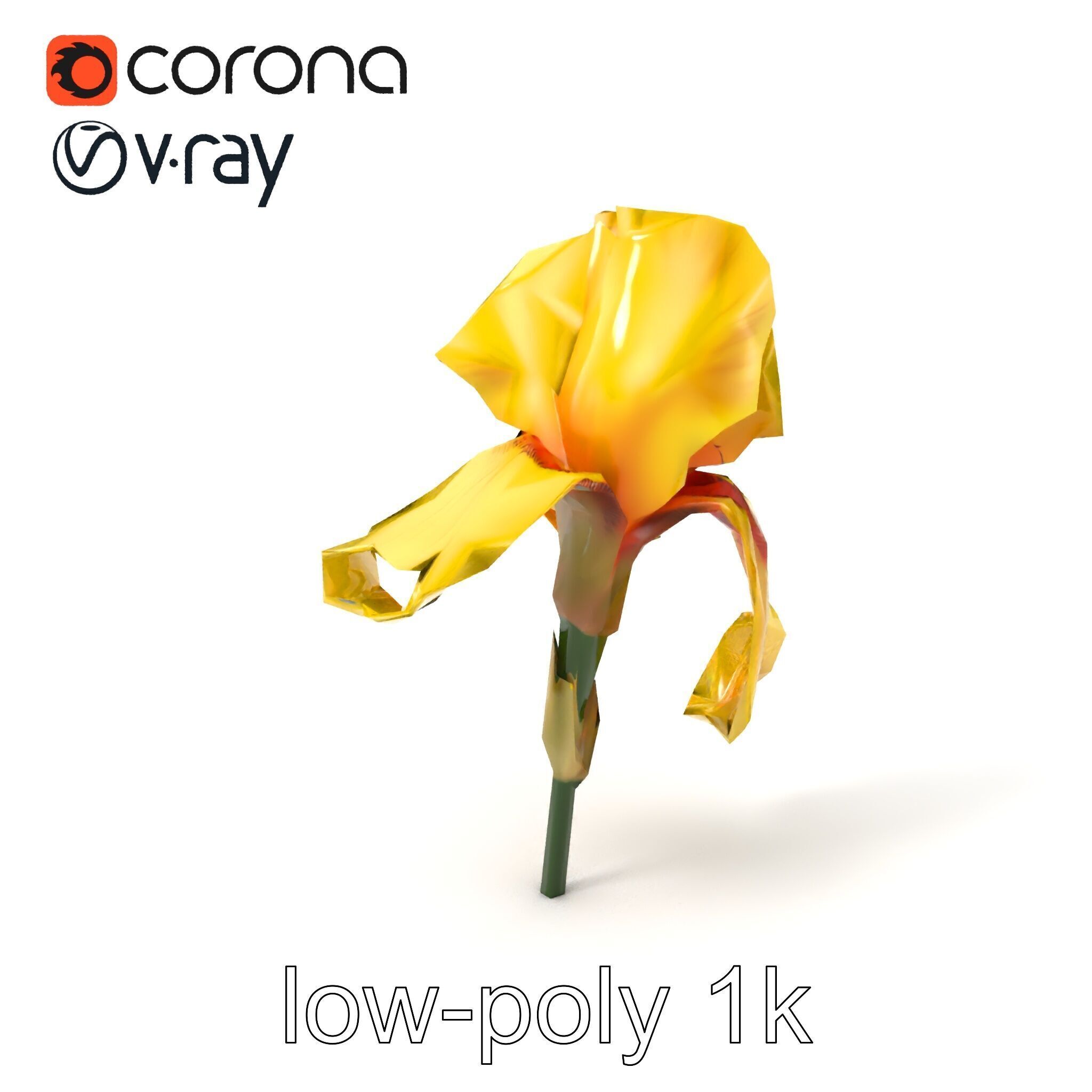 Yellow Iris Flower Model Pack Low-poly 3D model_5