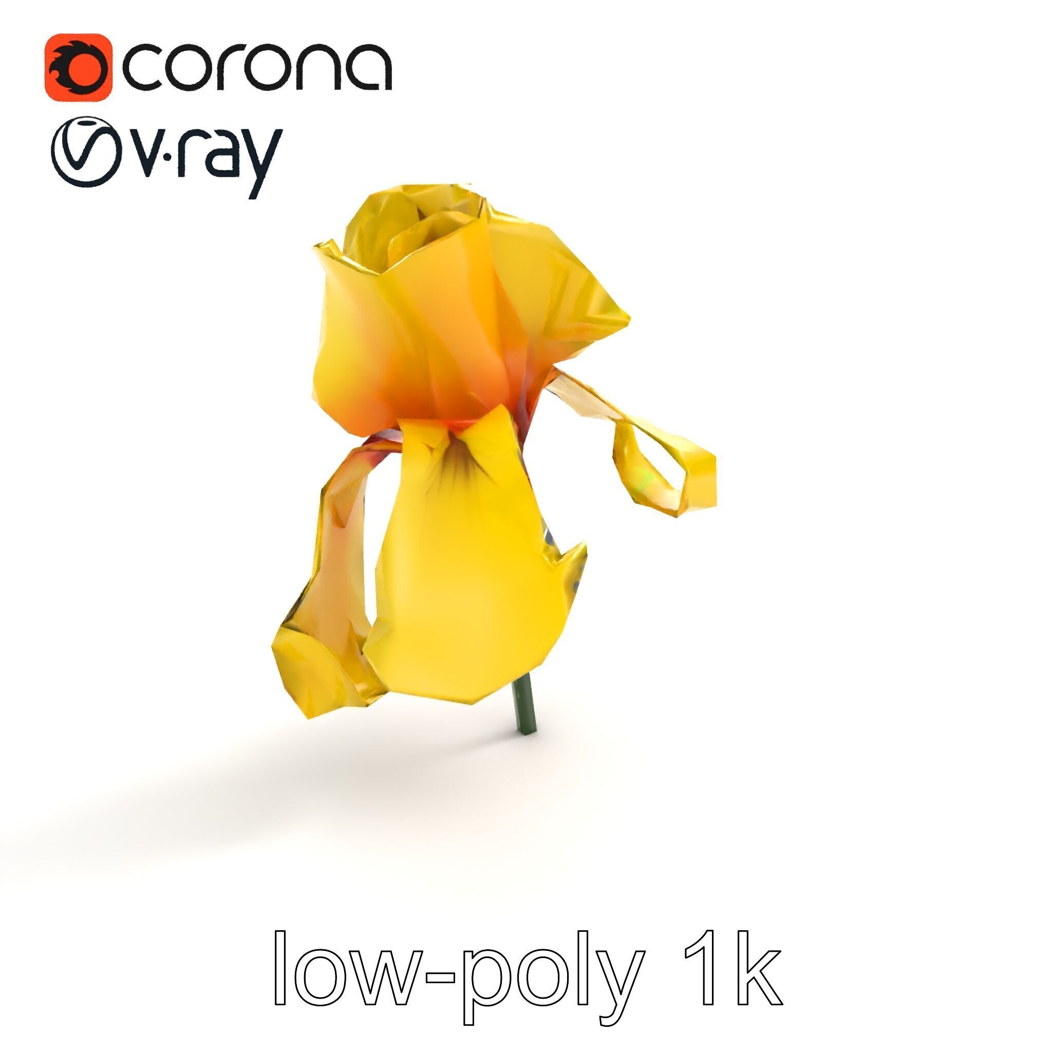Yellow Iris Flower Model Pack Low-poly 3D model_9