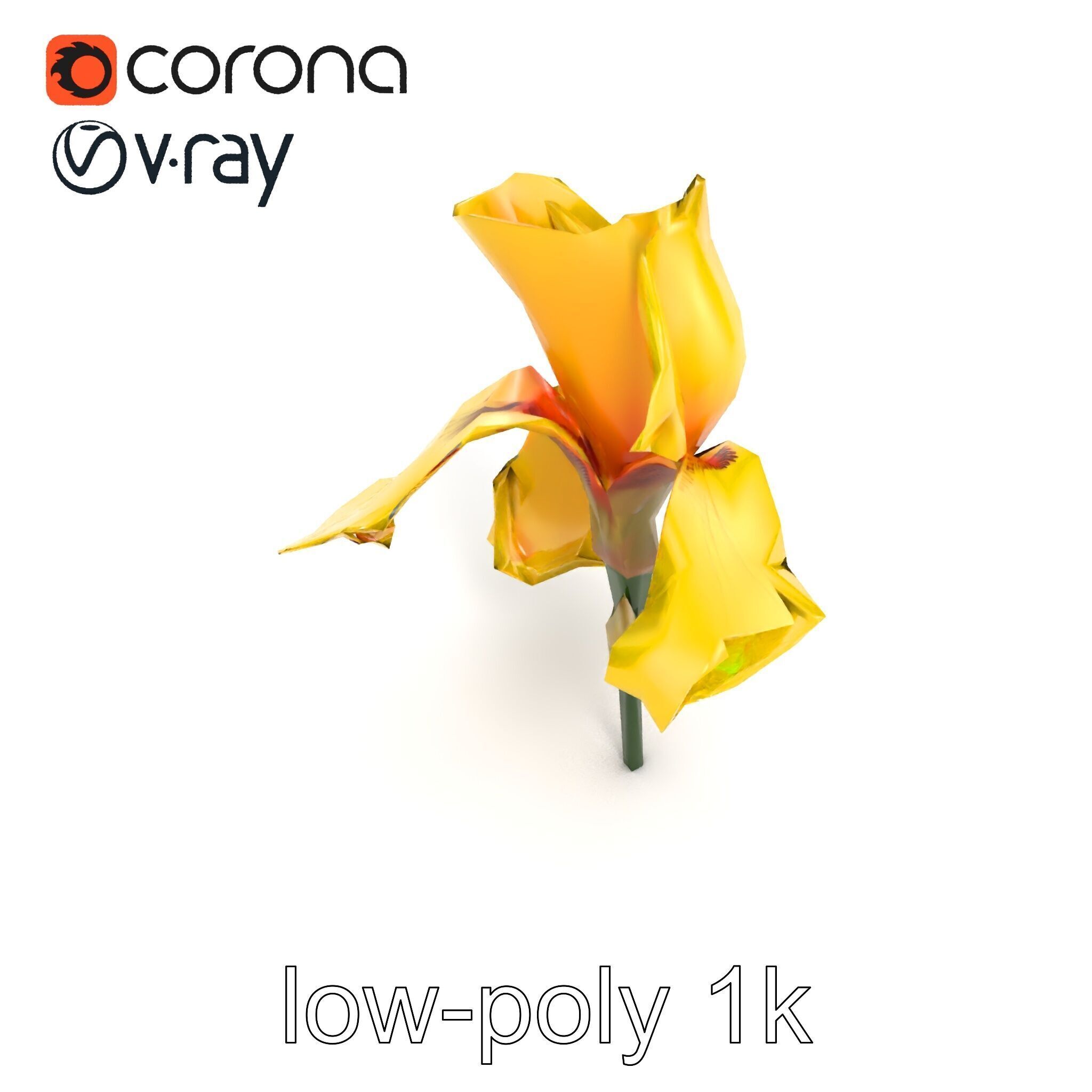 Yellow Iris Flower Model Pack Low-poly 3D model_11
