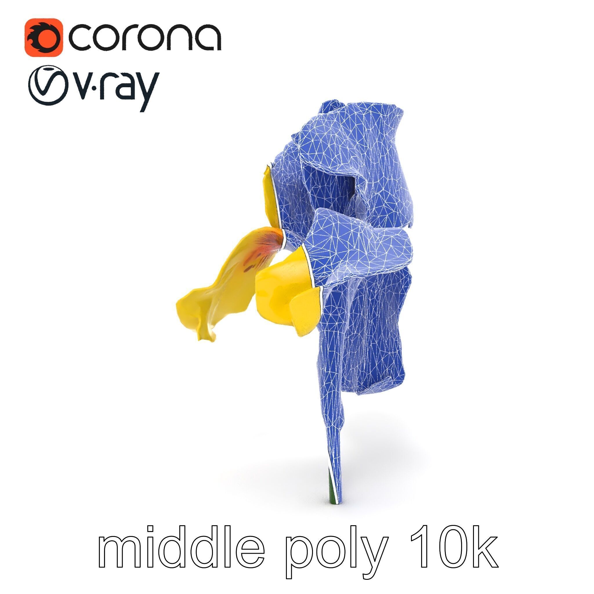 Yellow Iris Flower Model Pack Low-poly 3D model_23