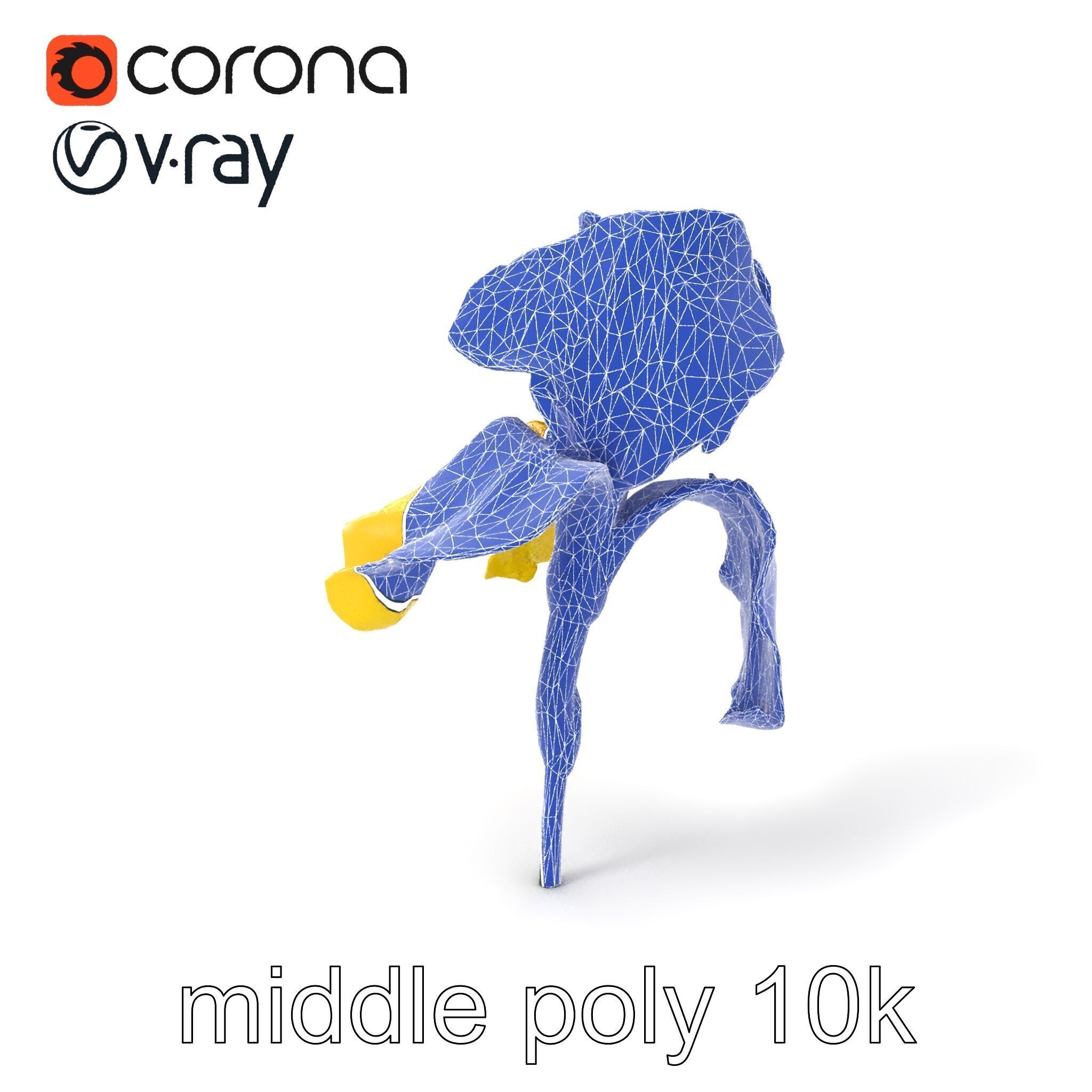 Yellow Iris Flower Model Pack Low-poly 3D model_6