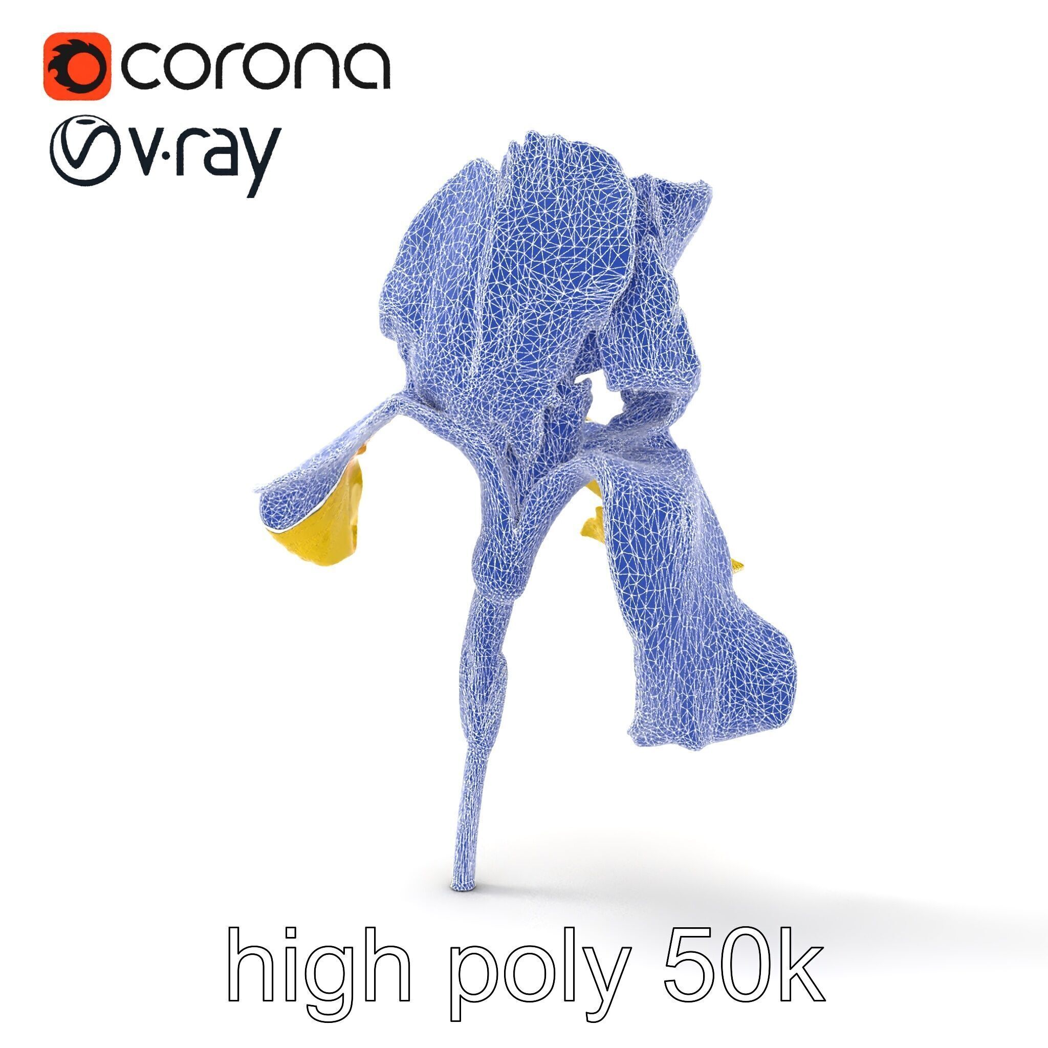 Yellow Iris Flower Model Pack Low-poly 3D model_25