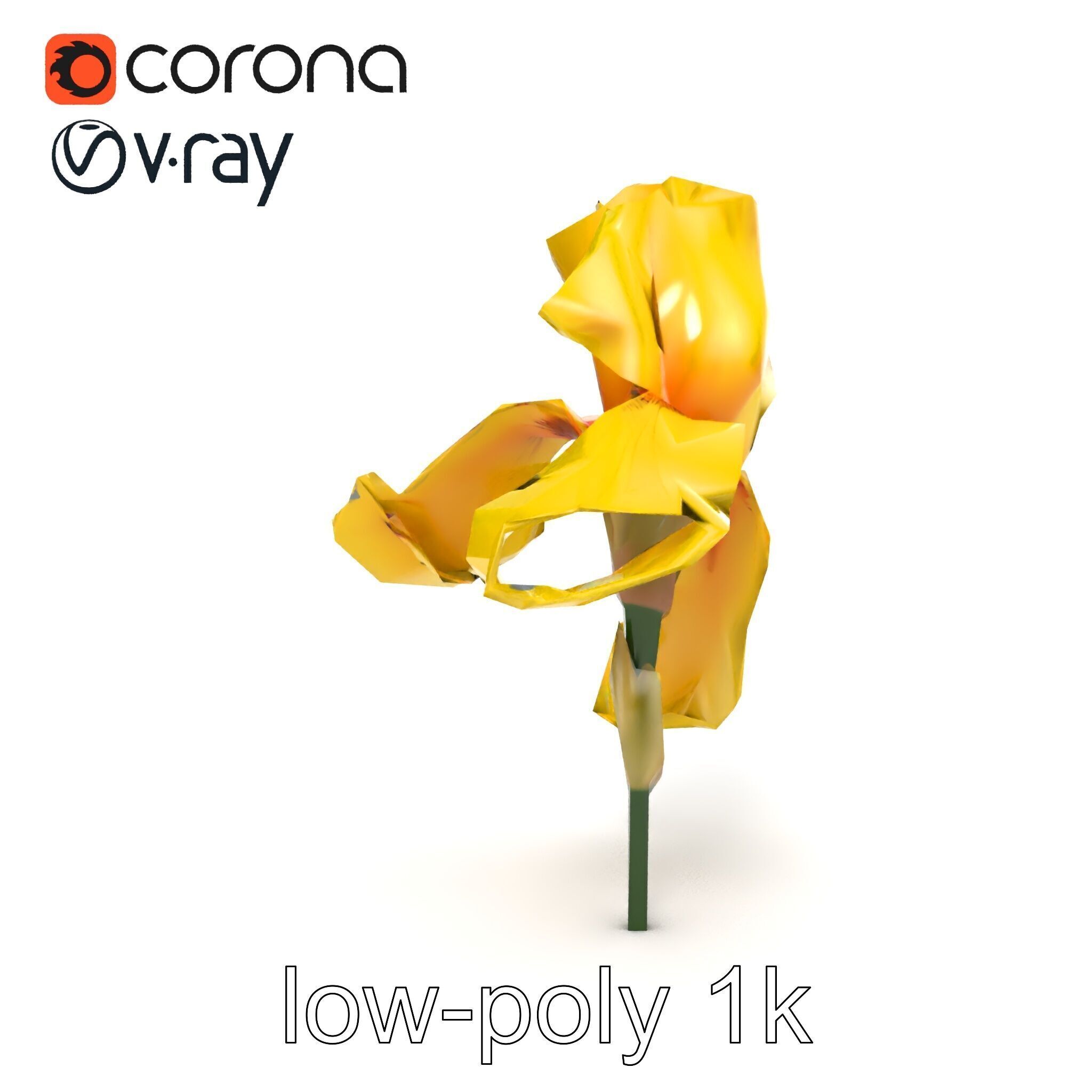Yellow Iris Flower Model Pack Low-poly 3D model_12