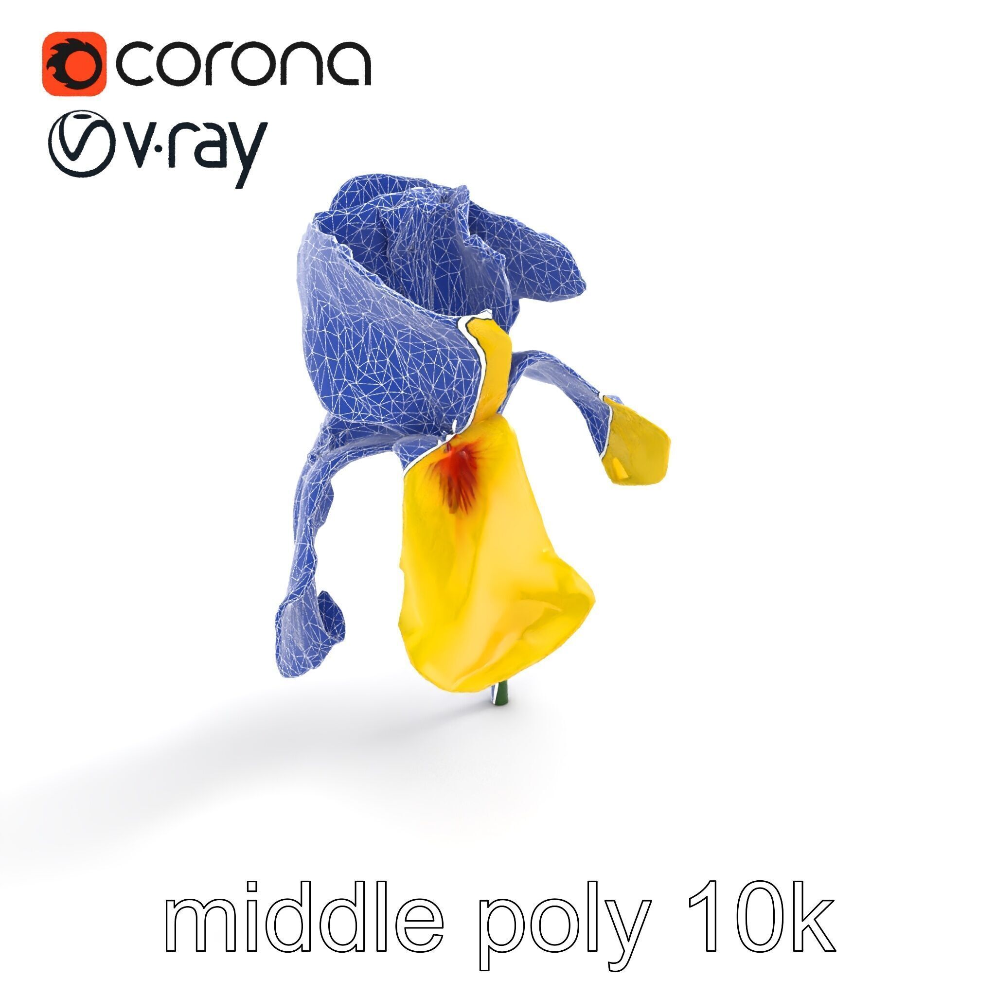 Yellow Iris Flower Model Pack Low-poly 3D model_16